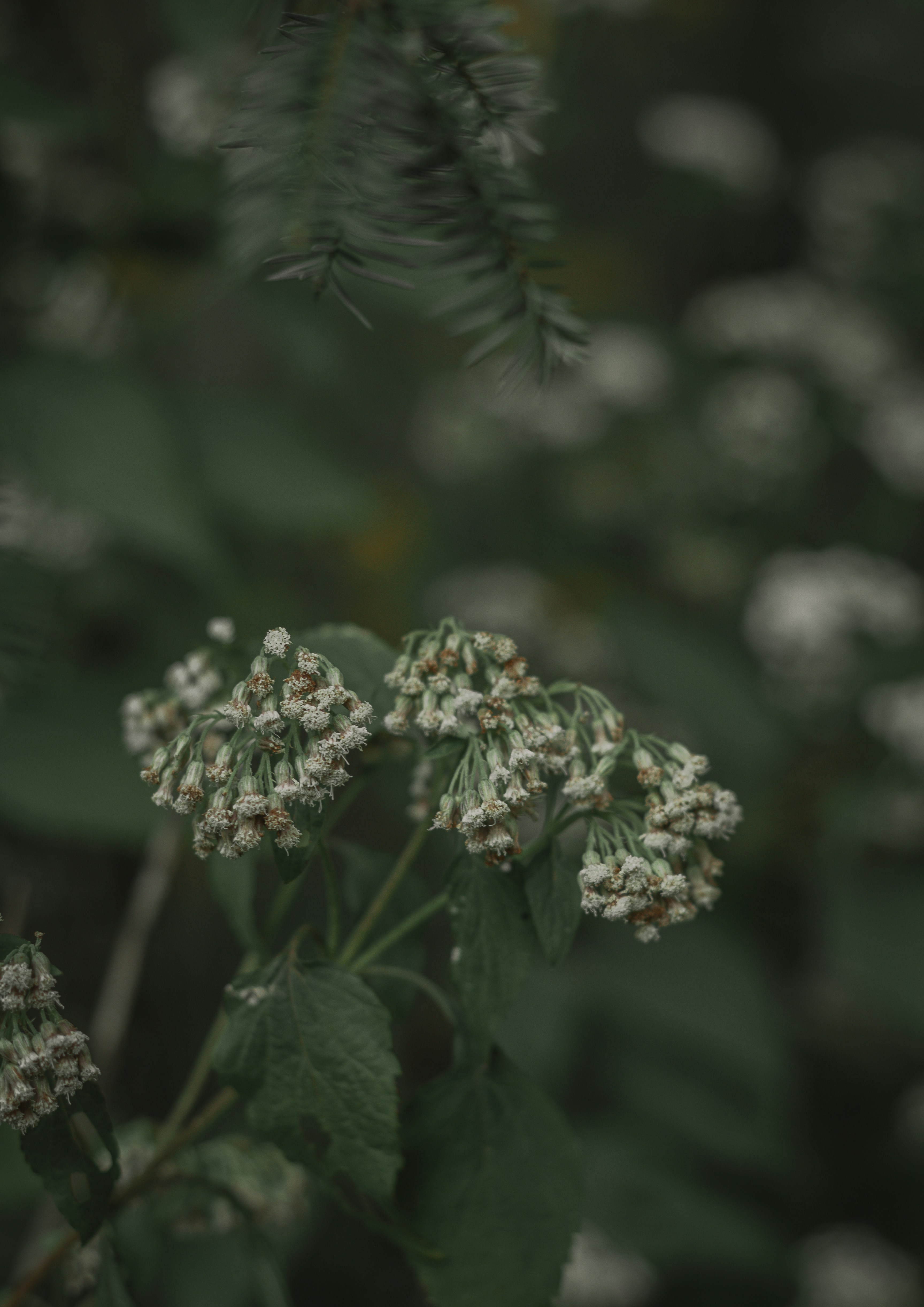 Photo by kristen_plastique