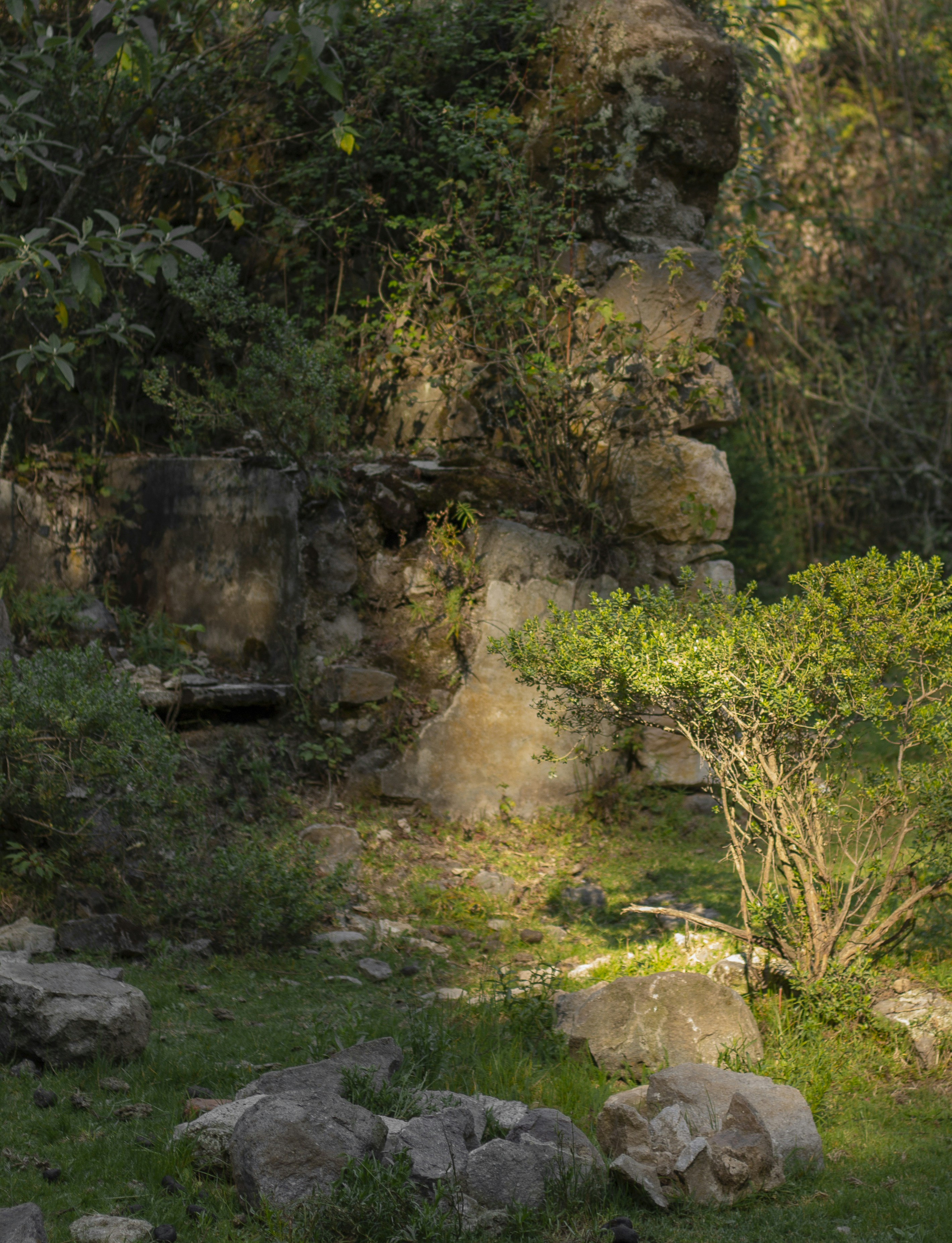 Photo by kristen_plastique