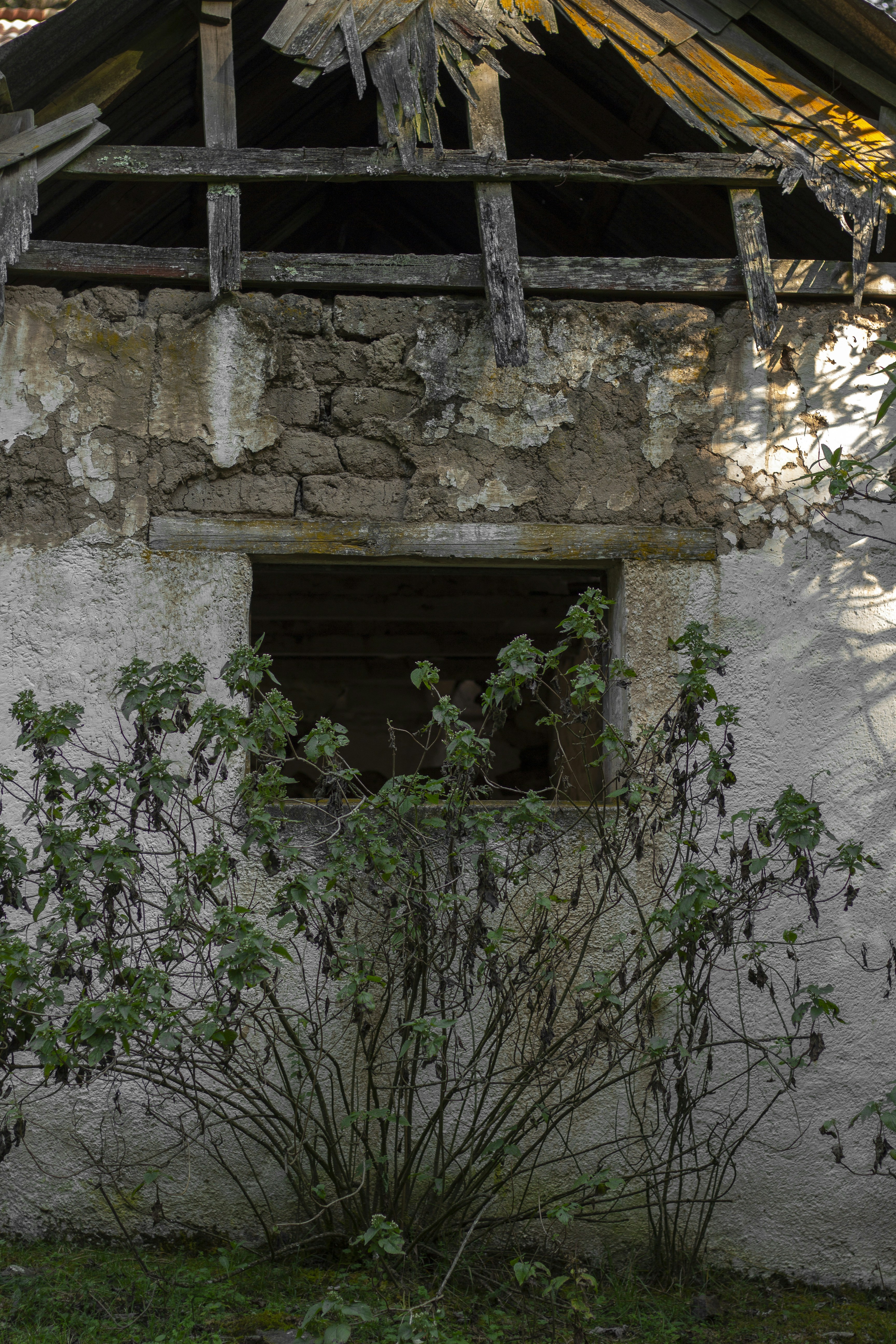 Photo by kristen_plastique