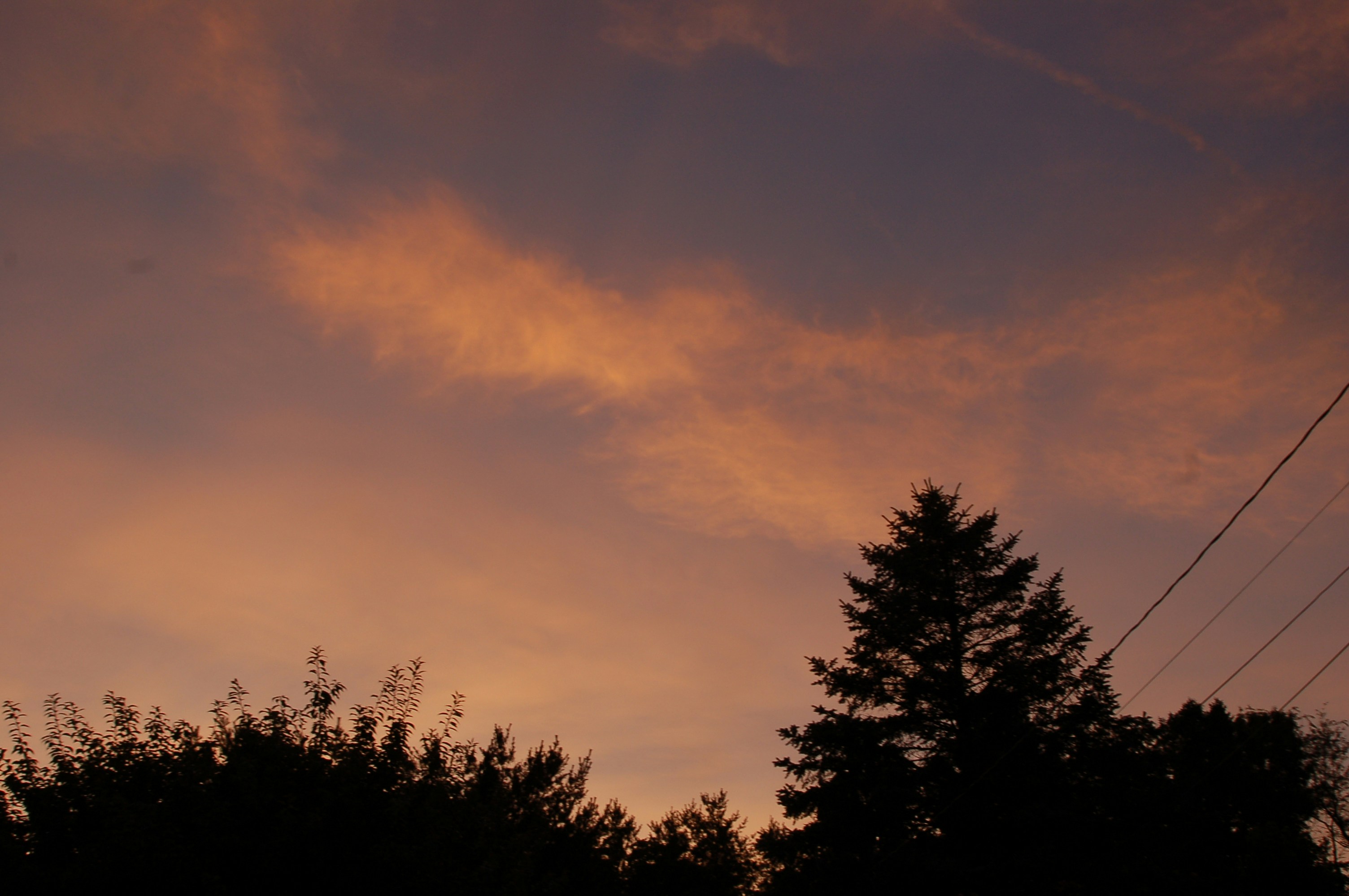 Photo by godsownfool