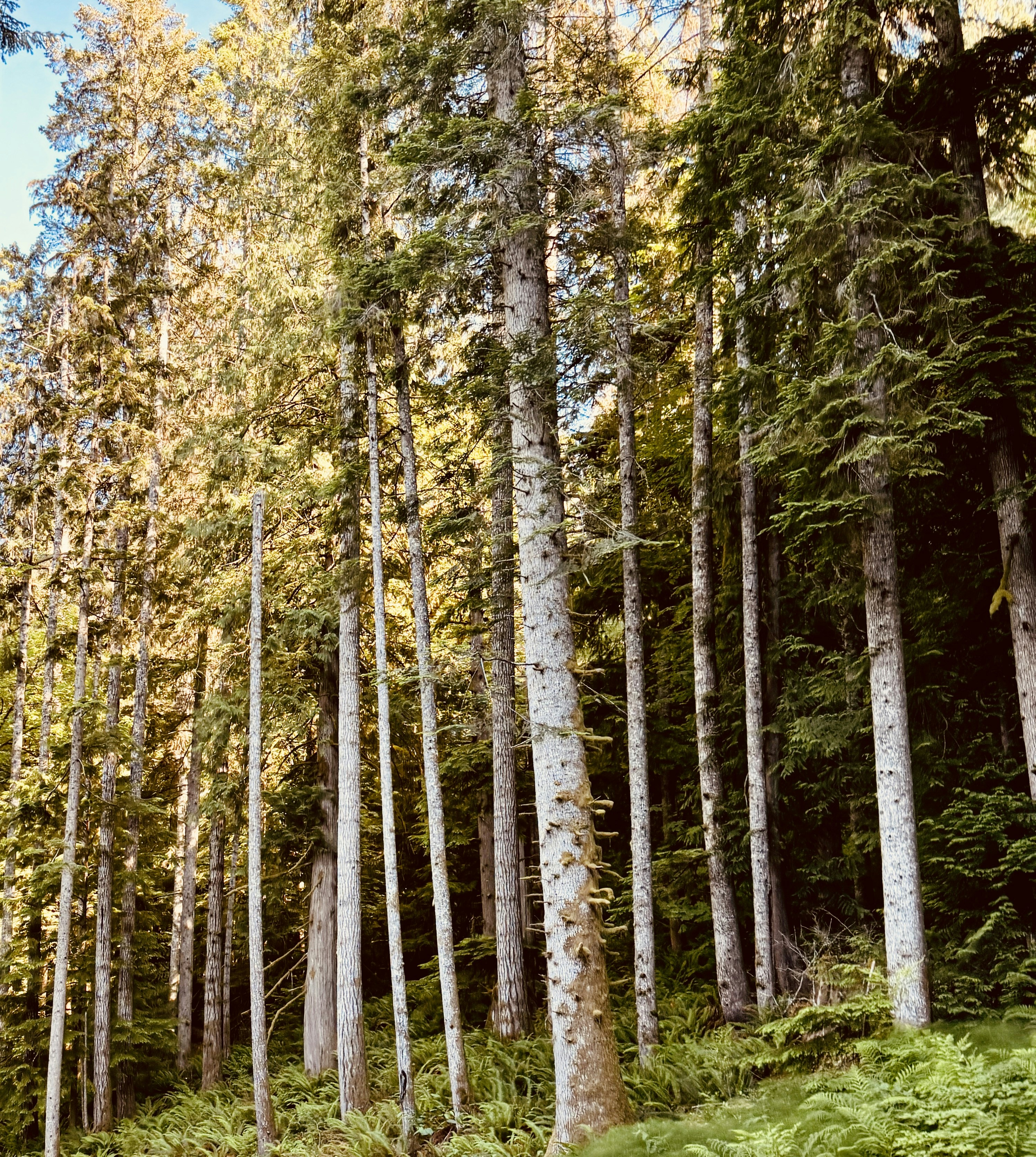 Photo by ethanzheng1347