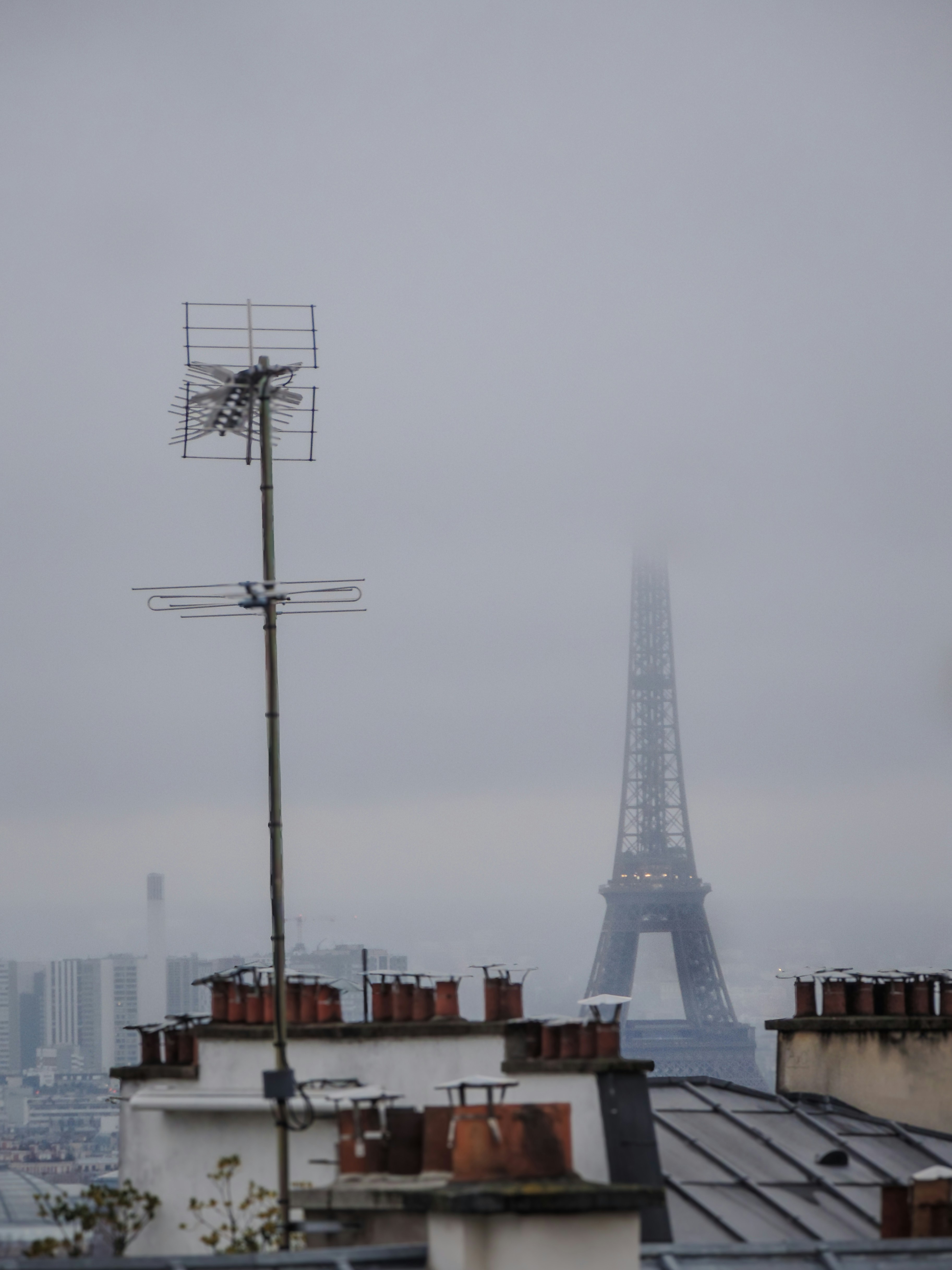 sk텔레콤 파리바게트 50% 관련 이미지2