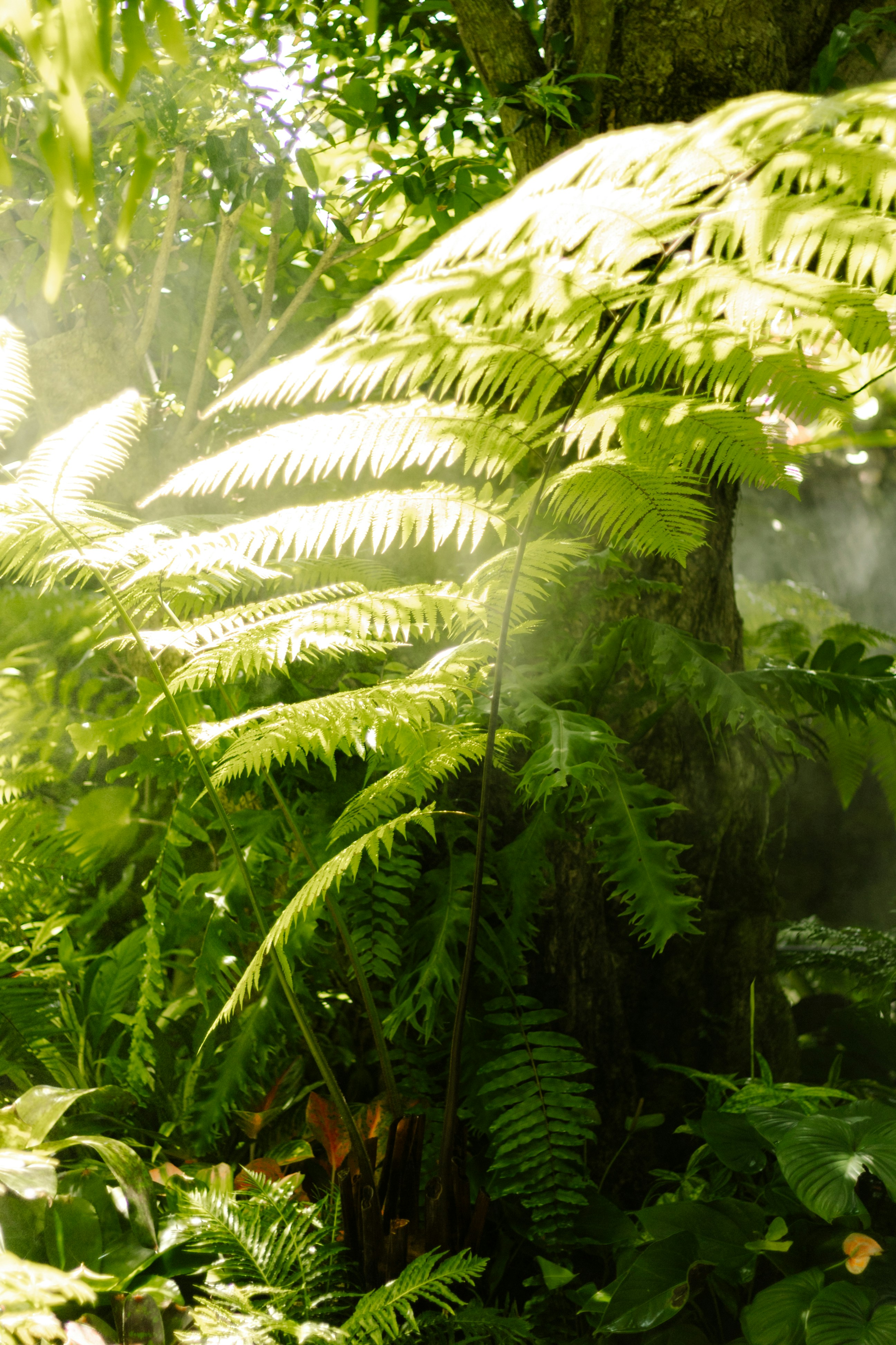 Photo by mynameisiknow