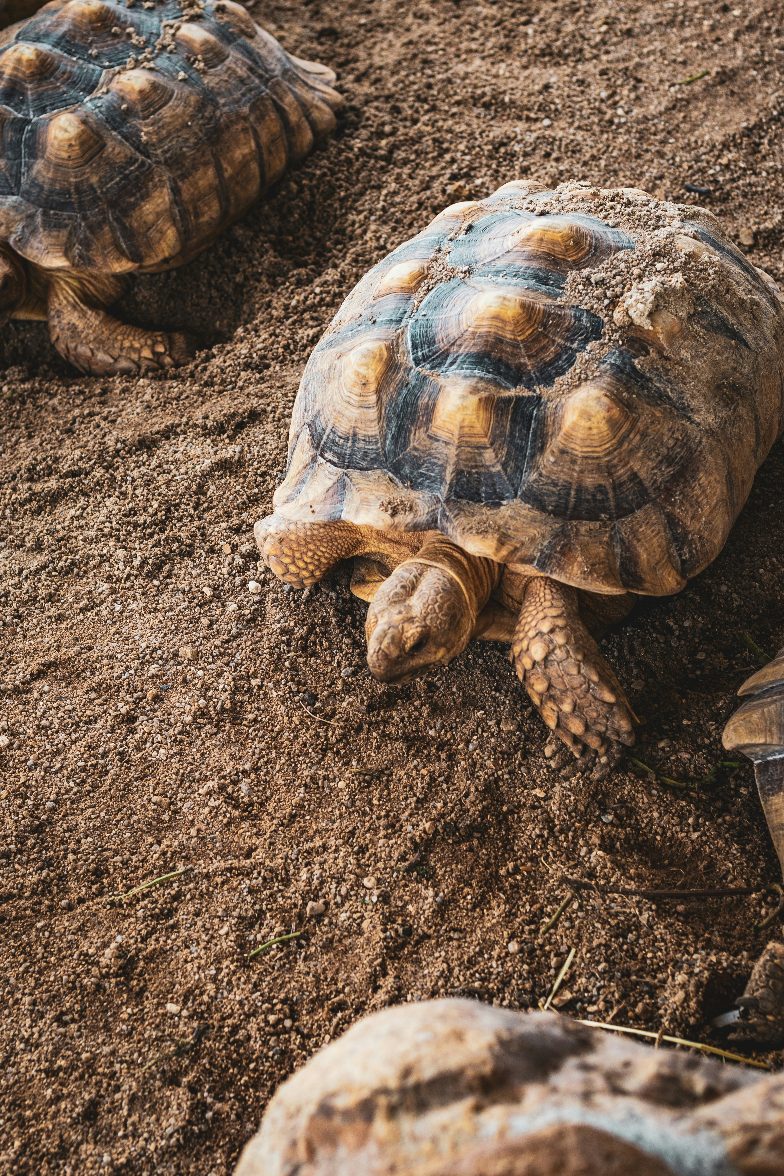 Photo by mynameisiknow