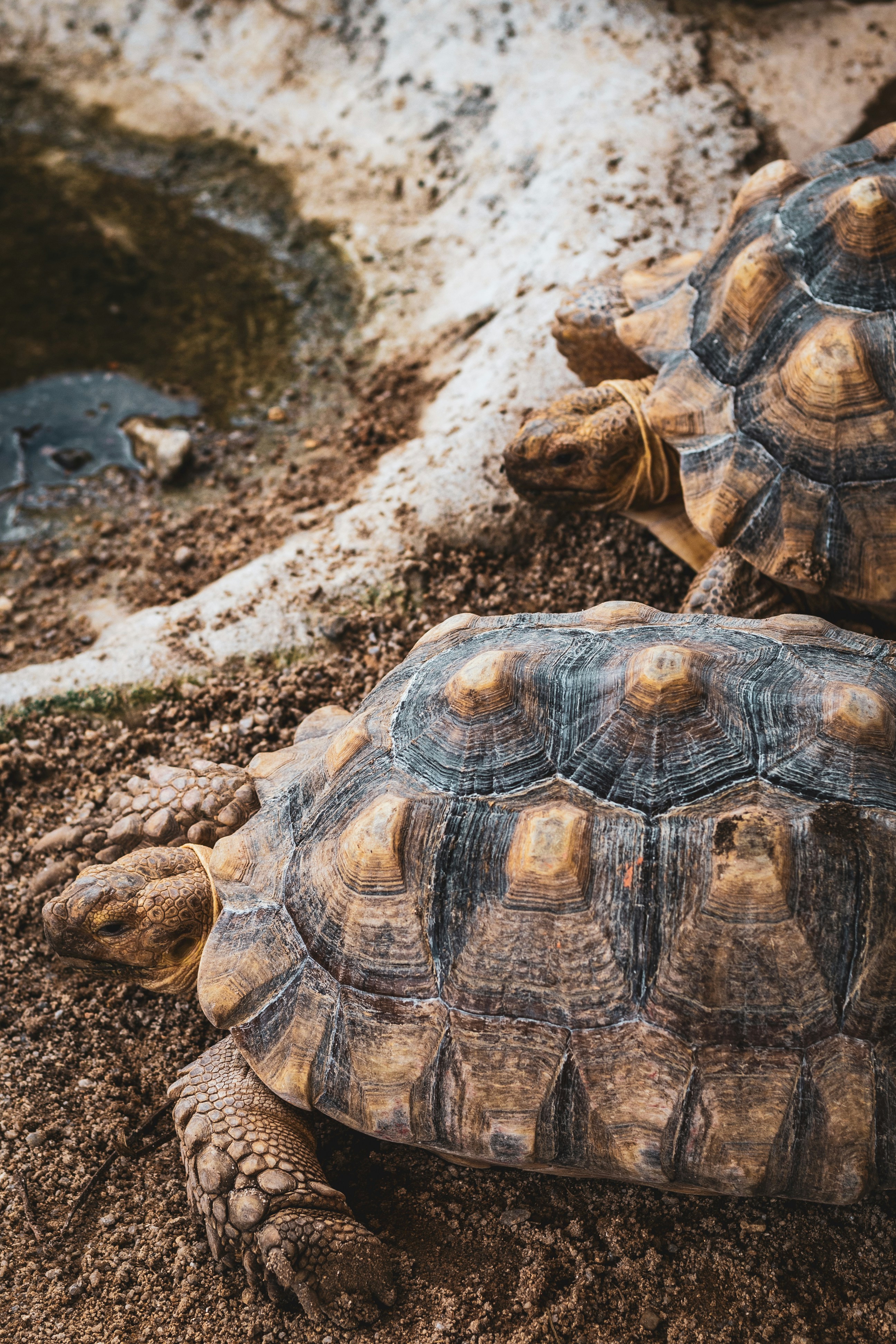 Photo by mynameisiknow