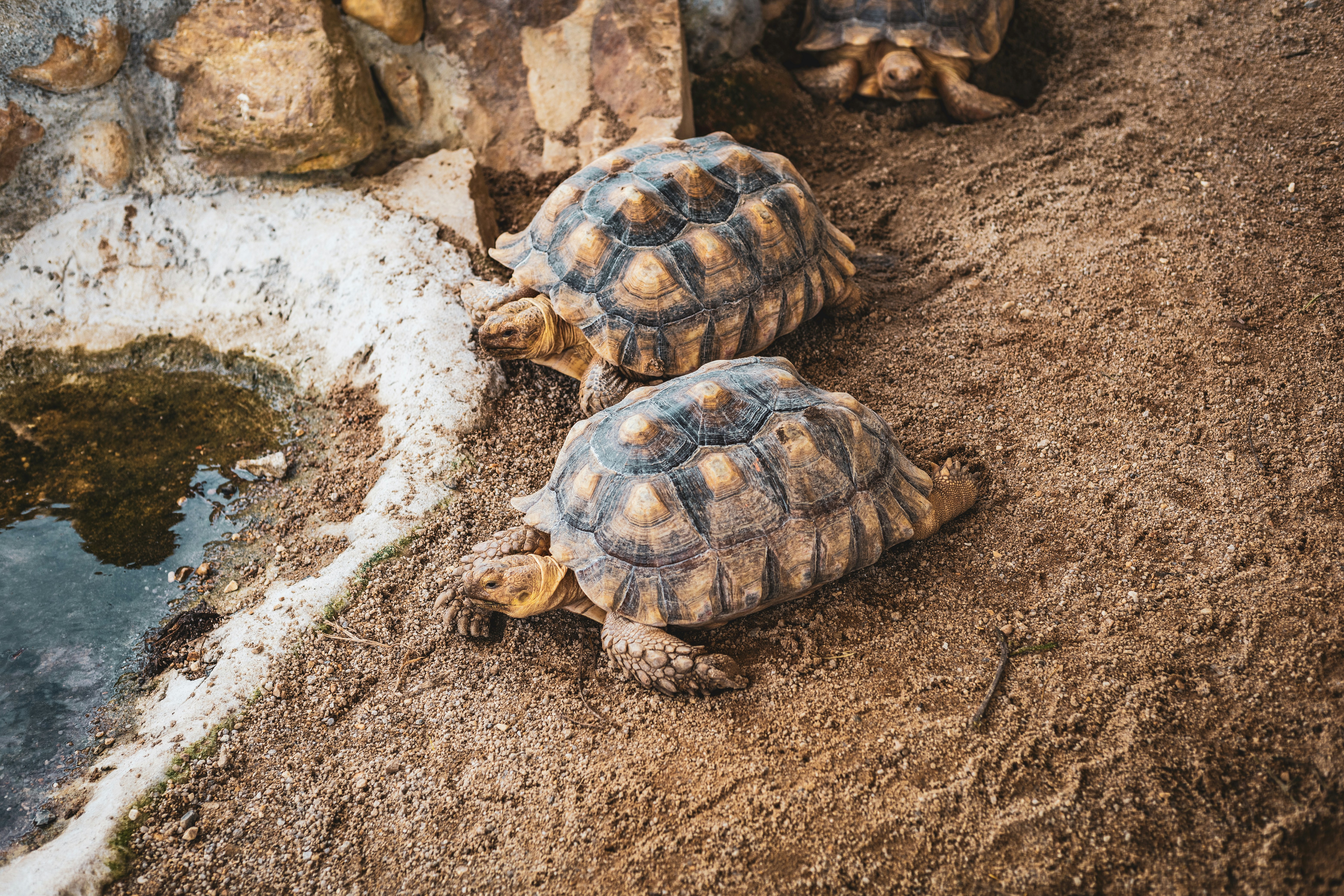 Photo by mynameisiknow