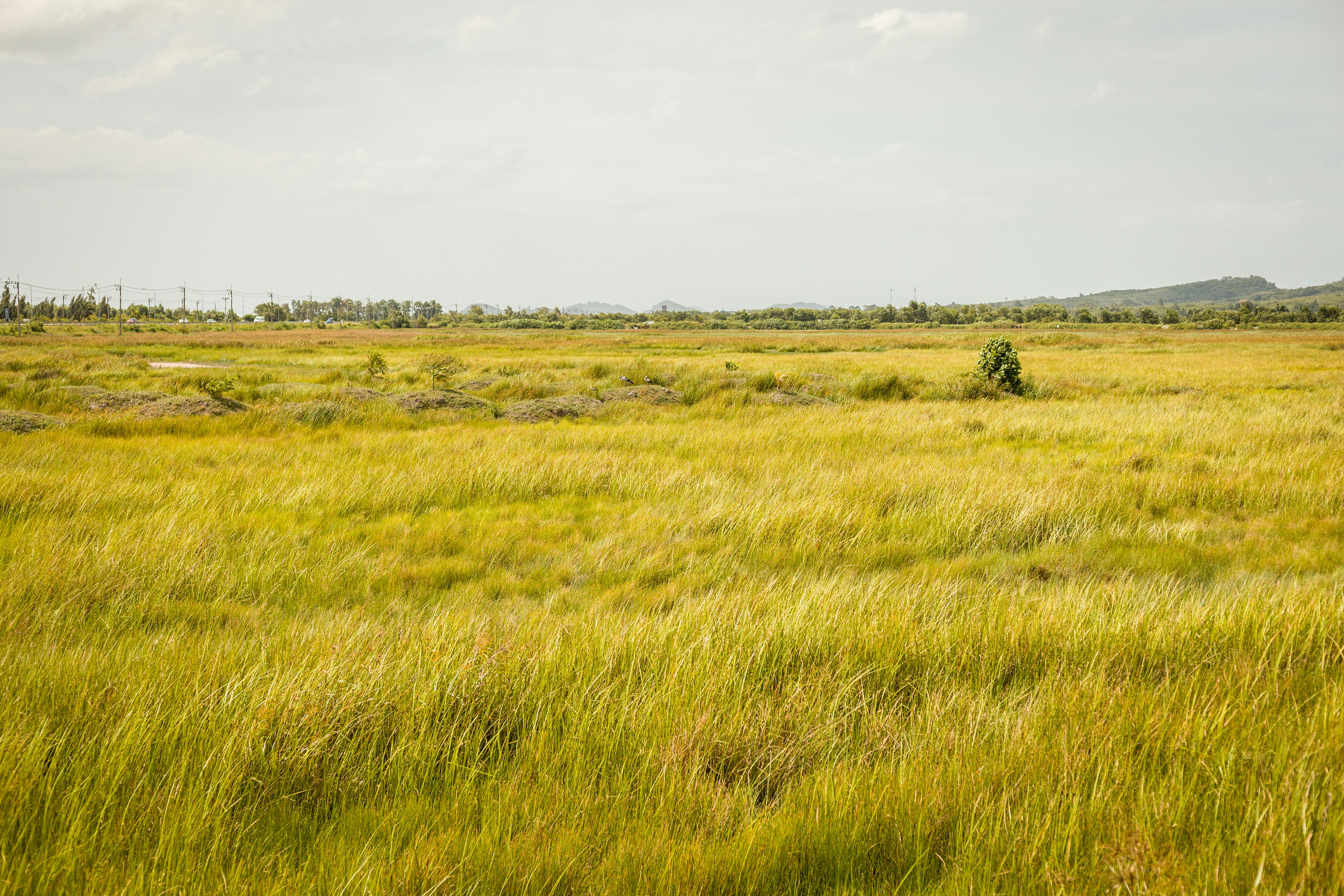 Photo by mynameisiknow