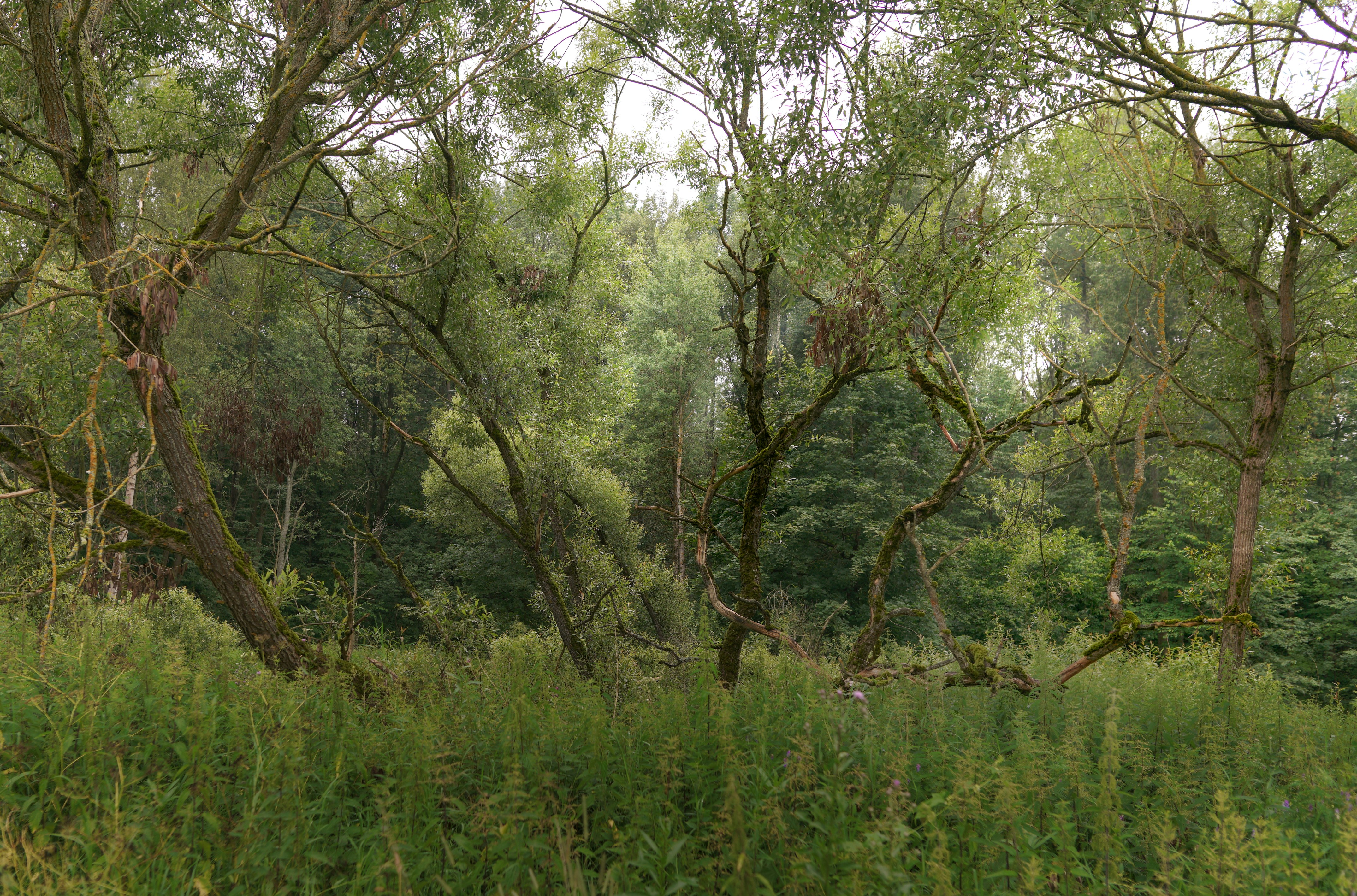 Photo by ilya_photography