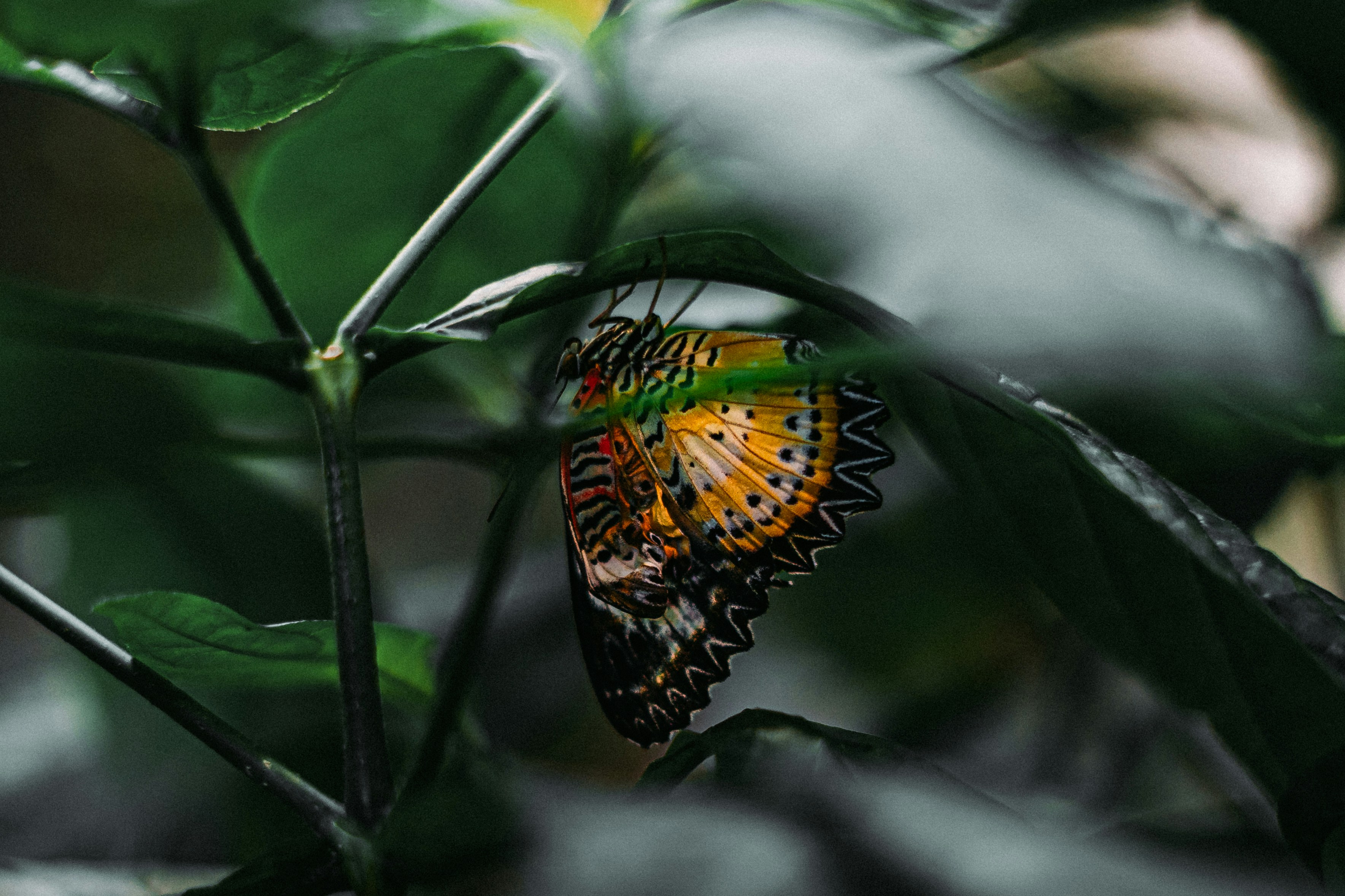 Photo by chrishardyphotography