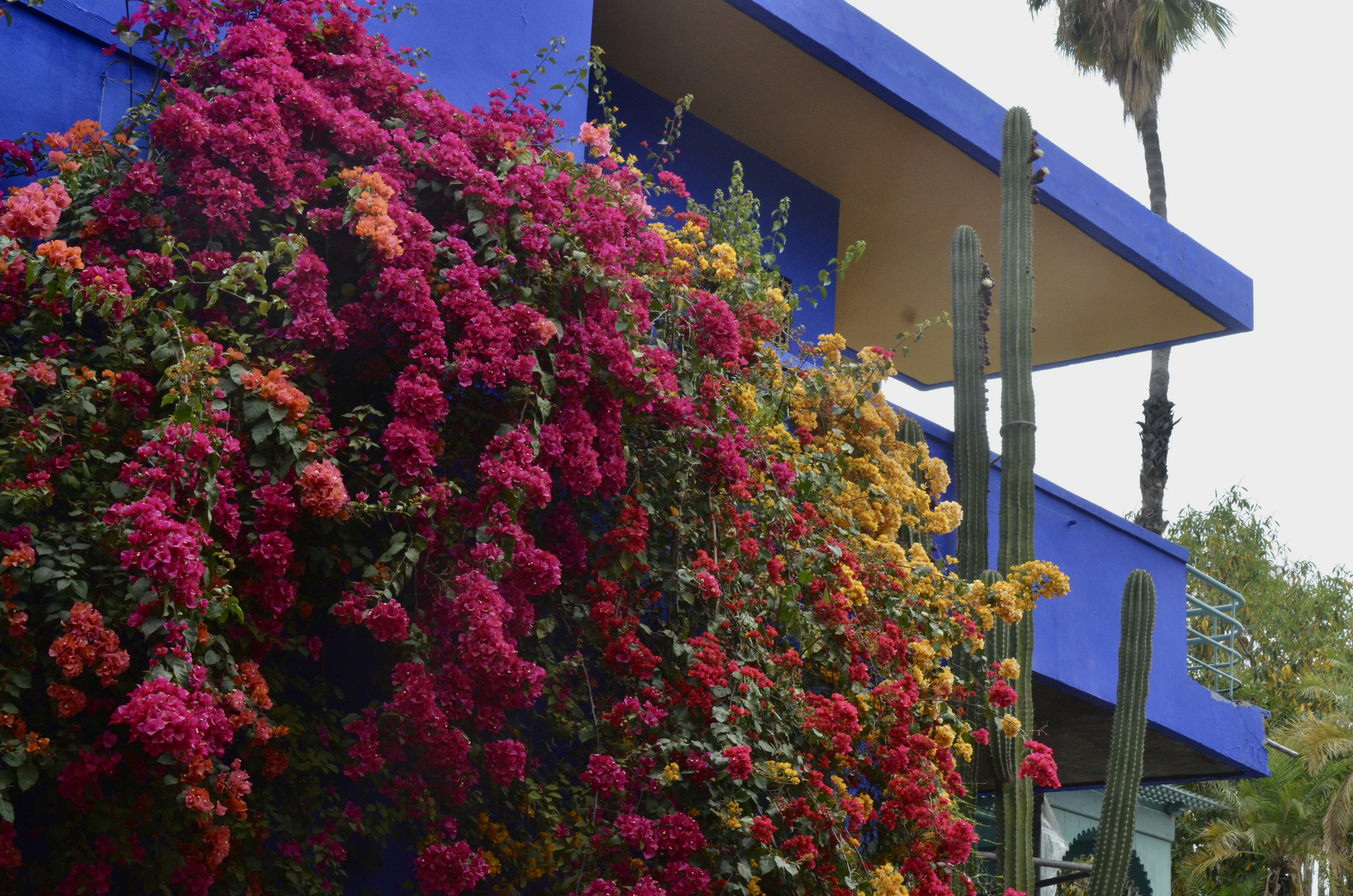 Photo by romainmcphotography