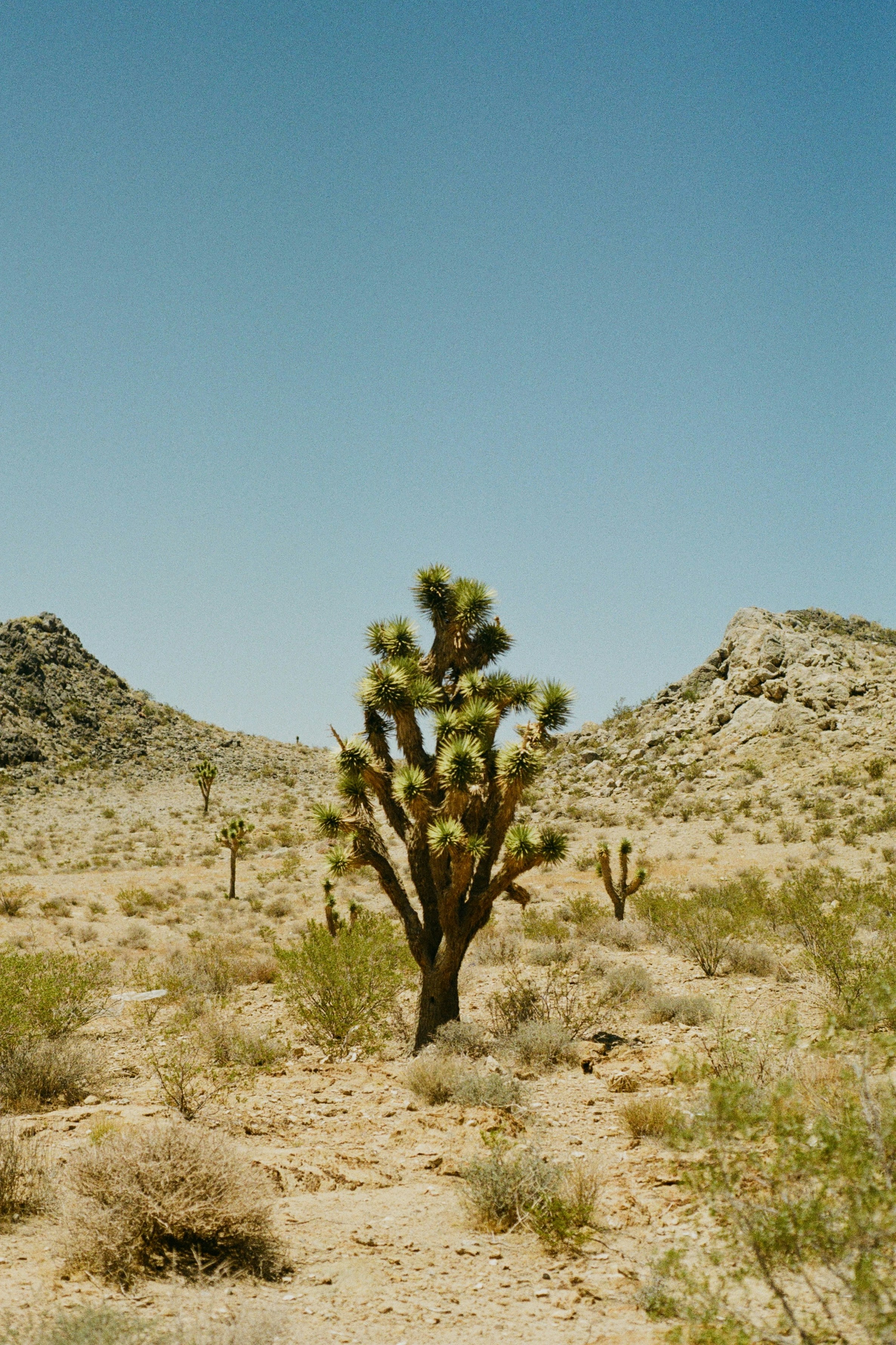 Photo by noahgremmert1