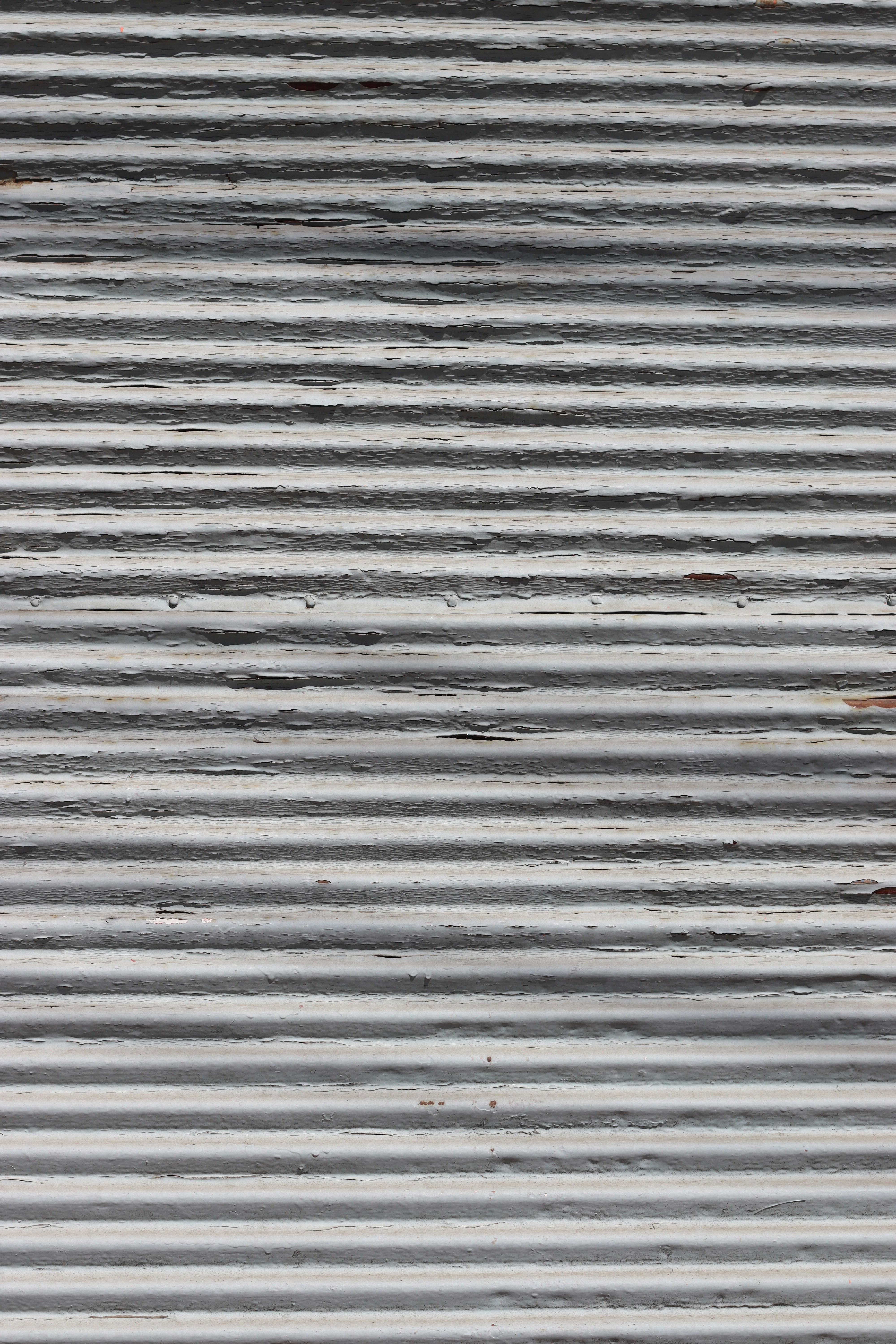 Photo by rodrigotypo