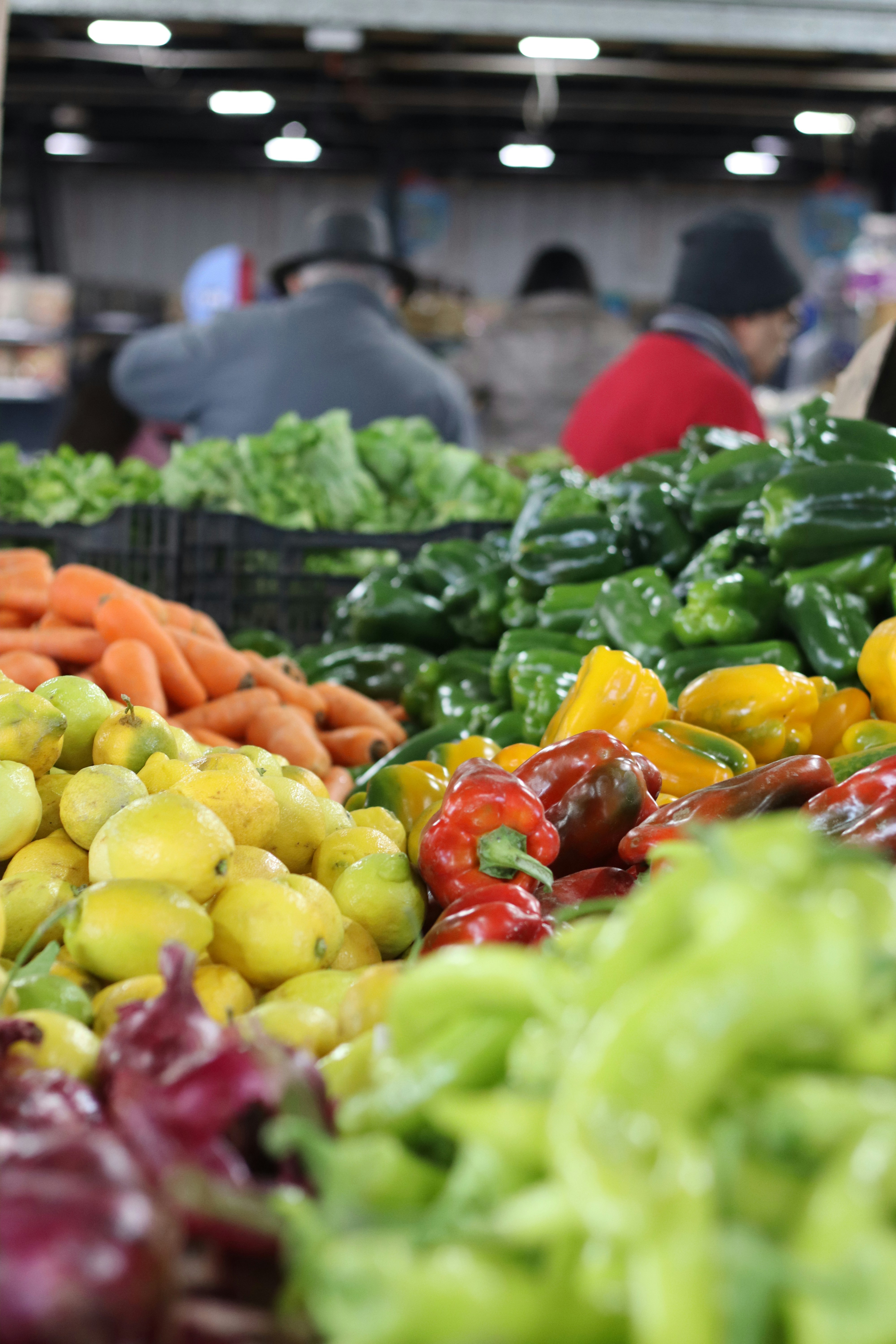 Photo by rodrigotypo