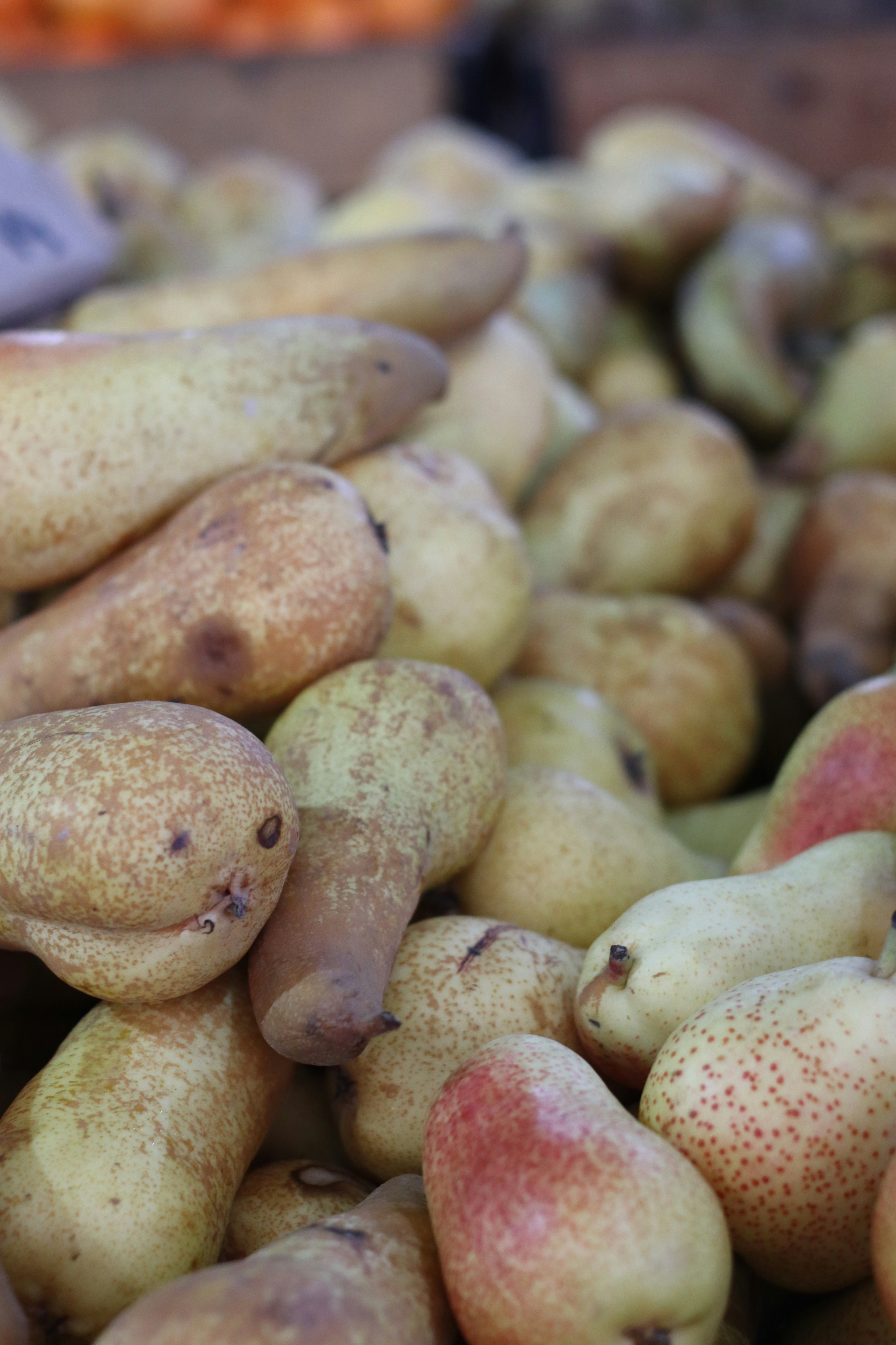 Photo by rodrigotypo