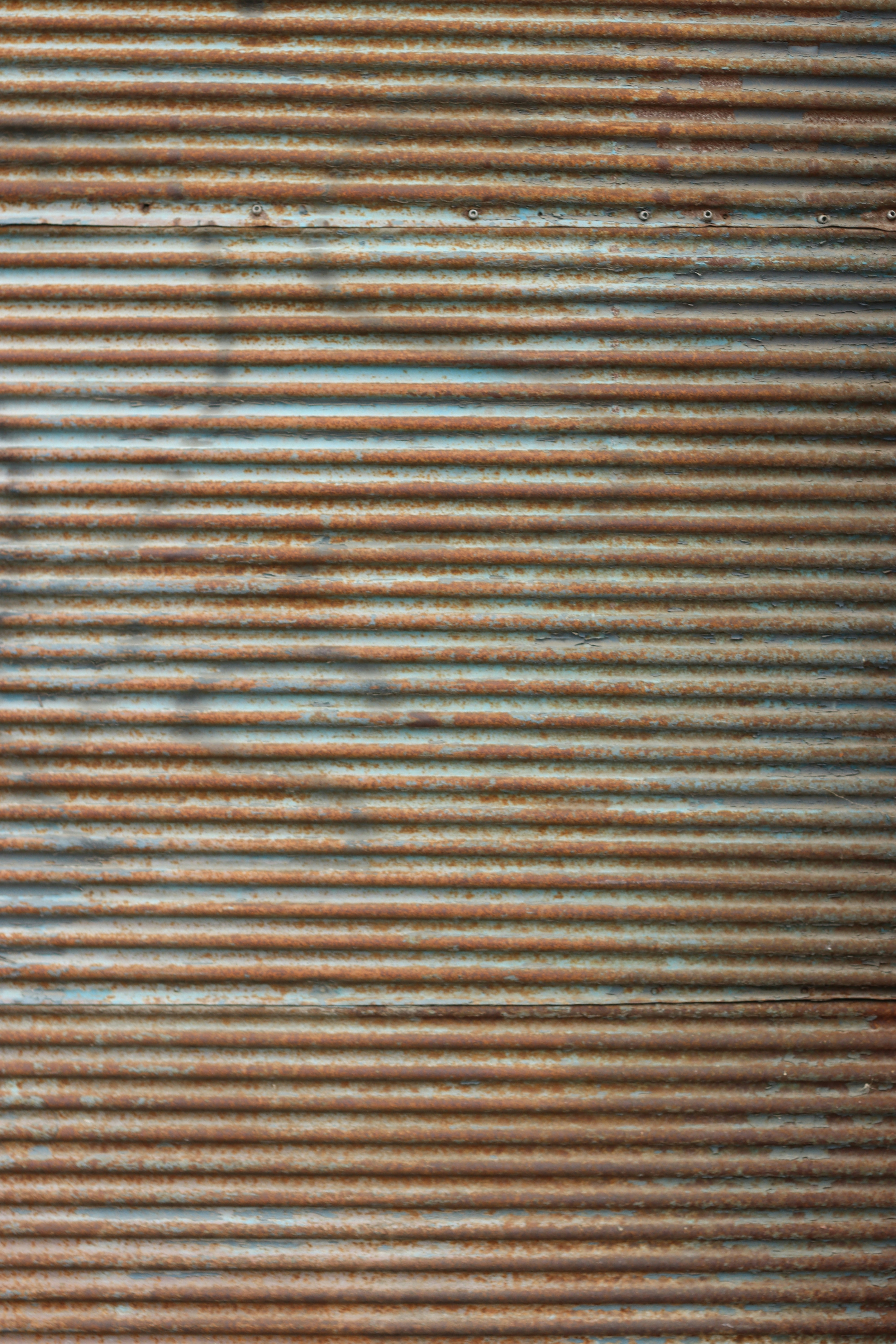 Photo by rodrigotypo