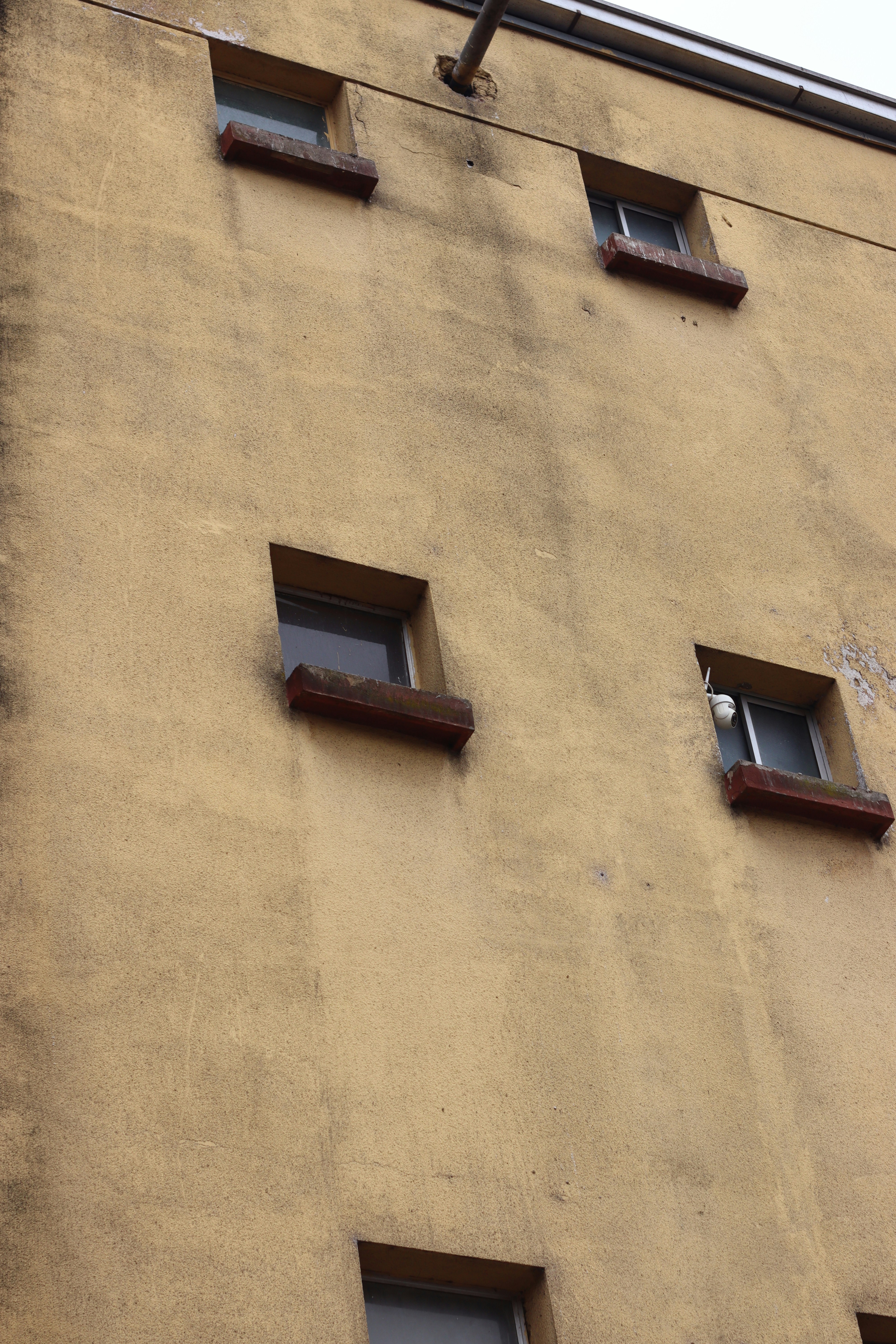 Photo by rodrigotypo