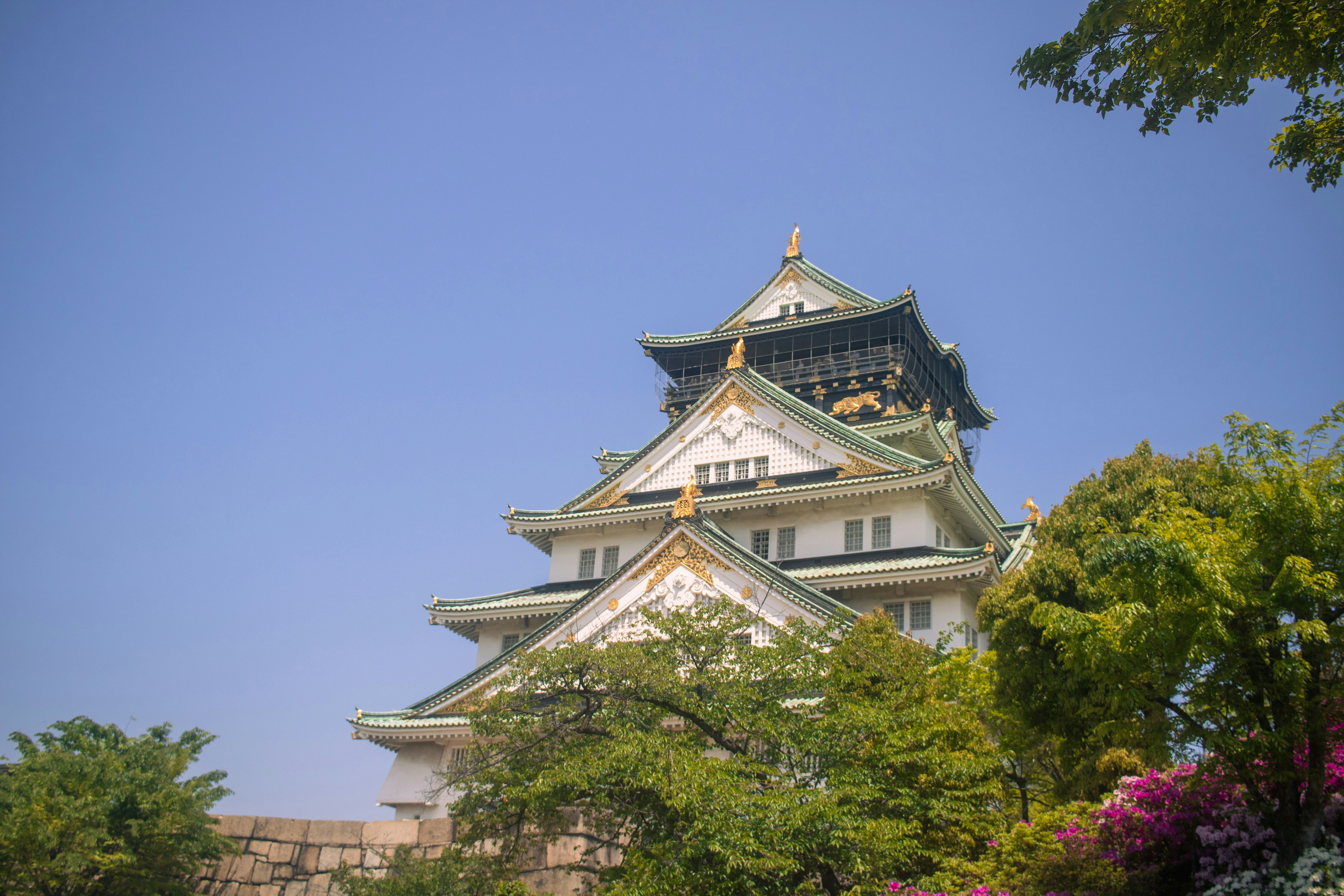 صورة المعرض