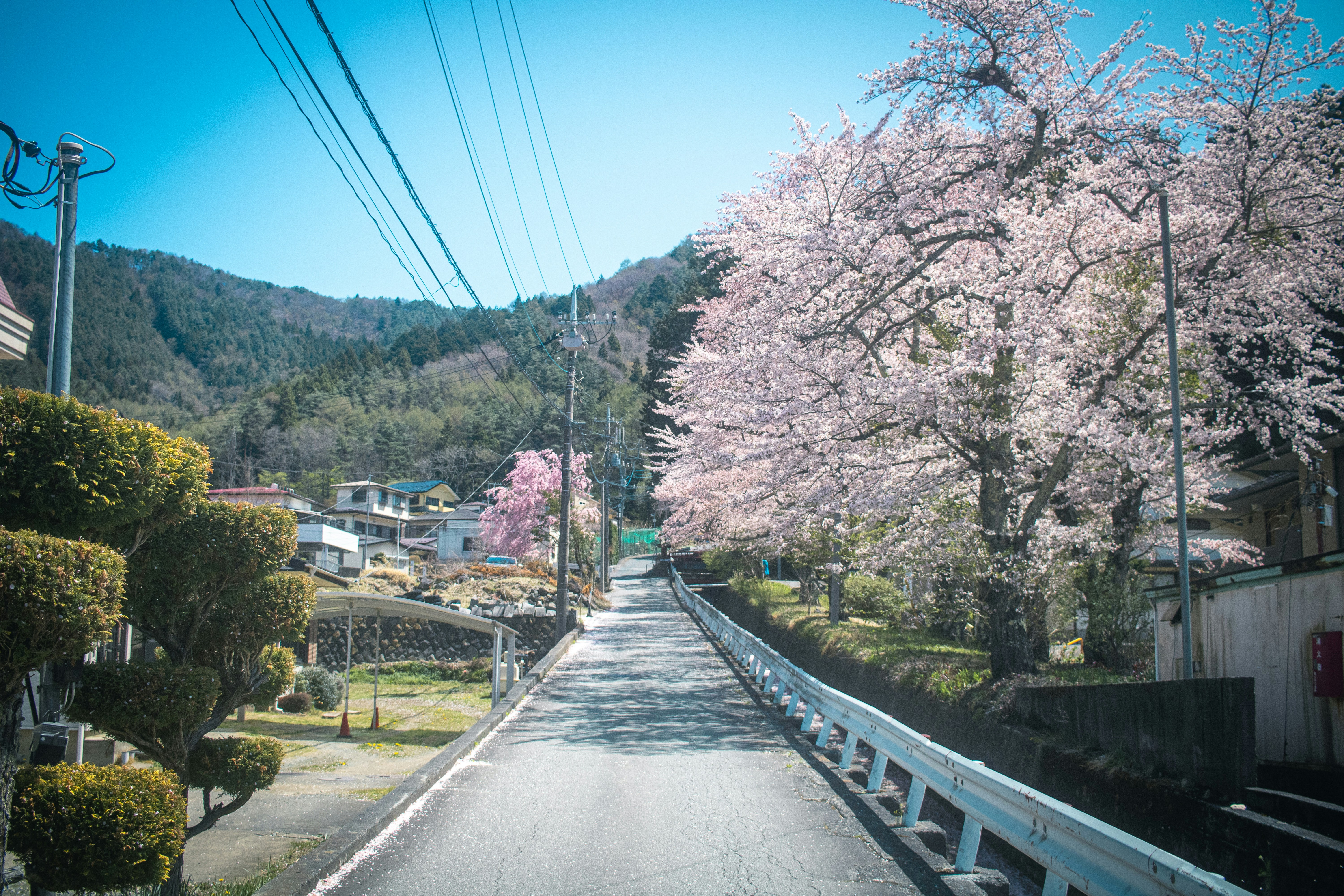 Photo by fluke132