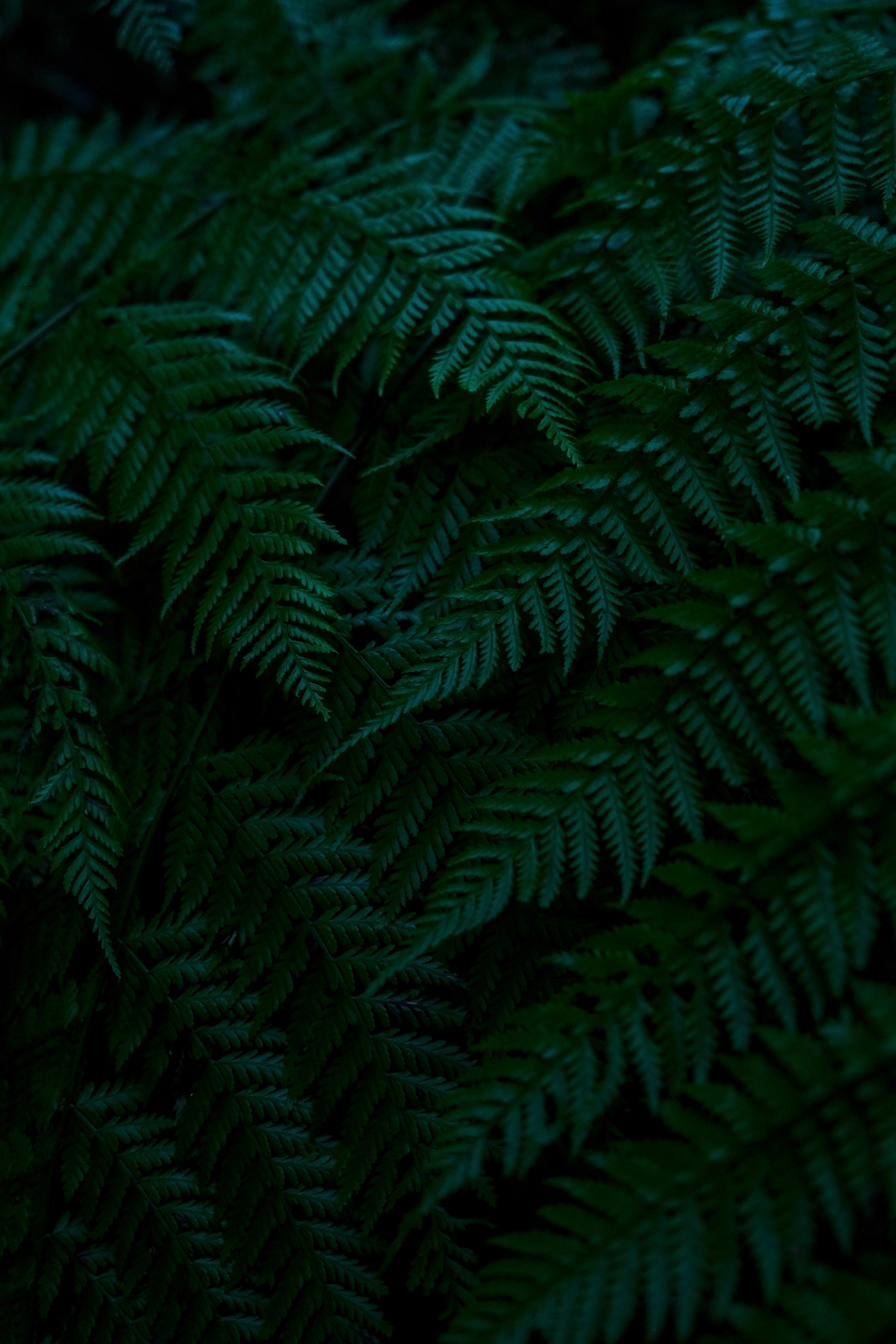 Photo by paolomilesi