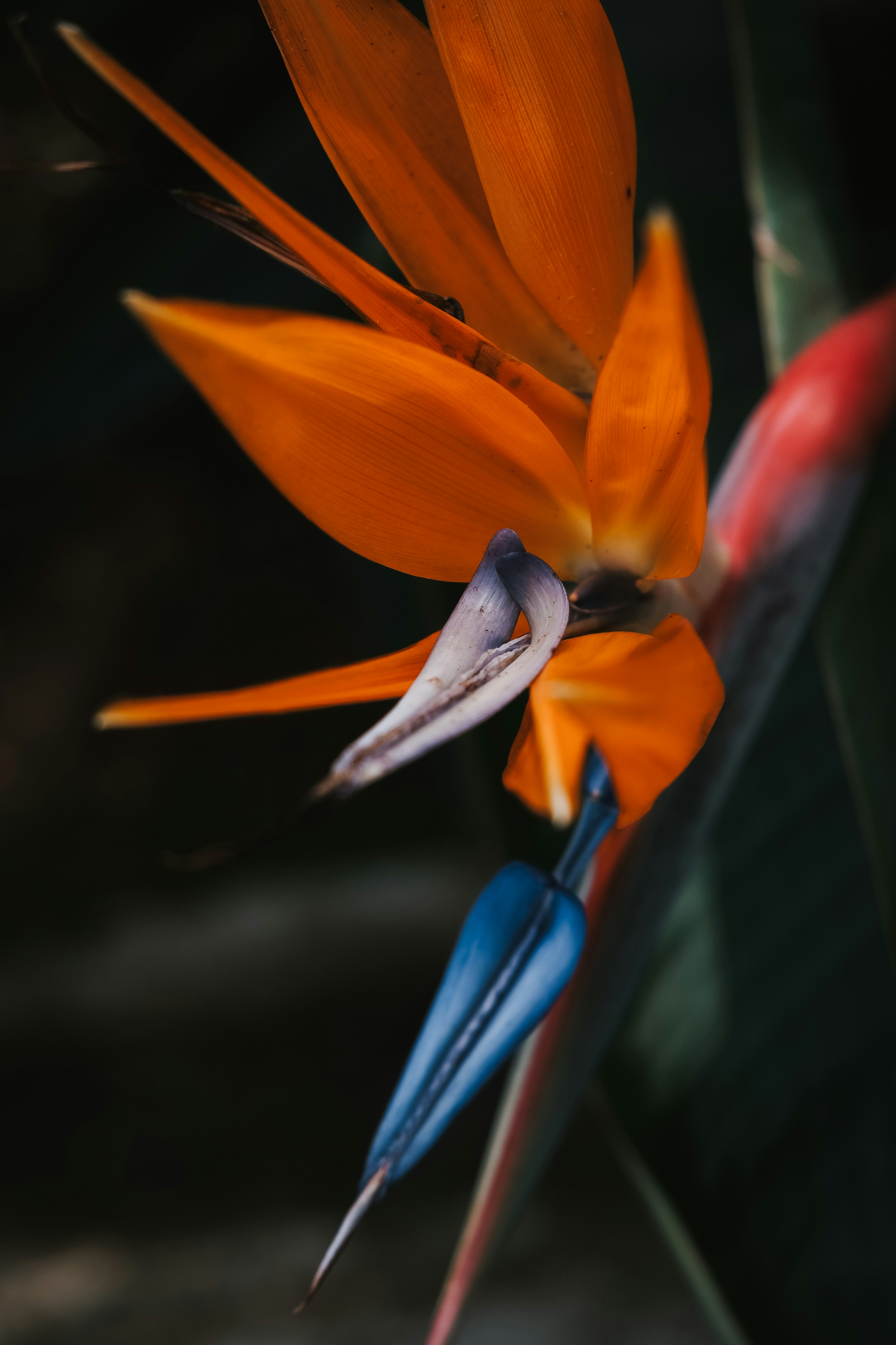 Photo by paolomilesi