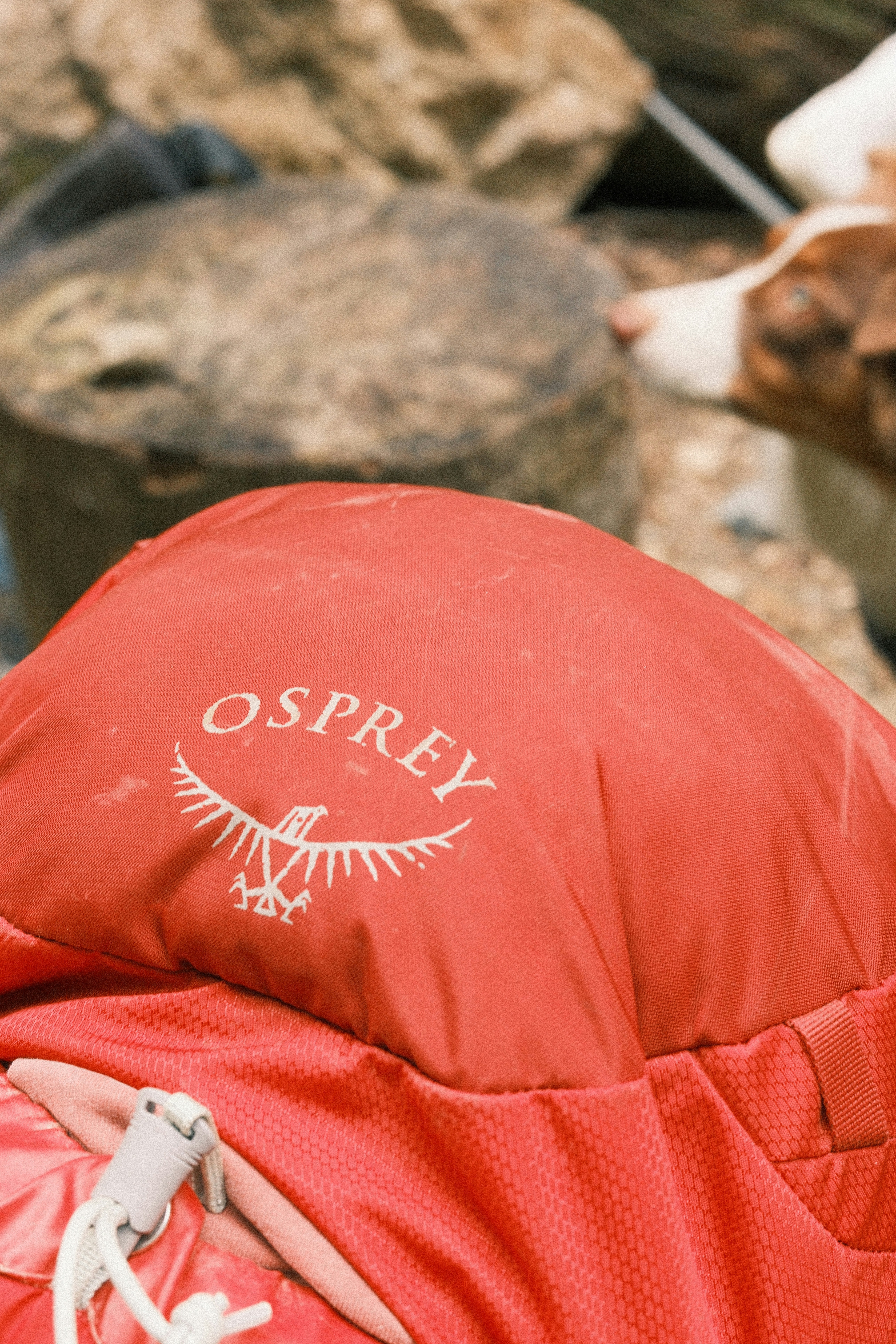 An osprey backpack is shown with a dog.
