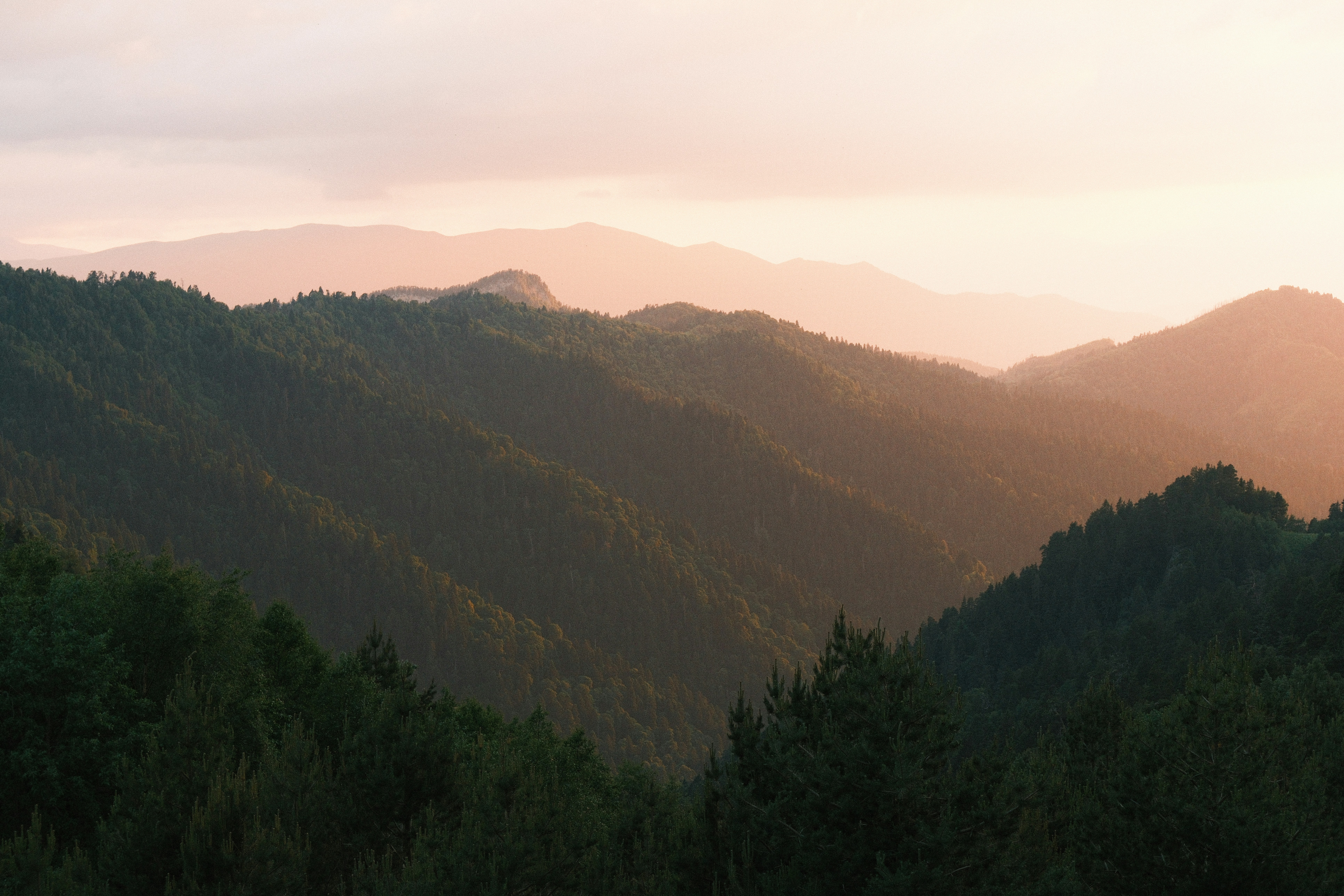 Photo by nikan_tanya