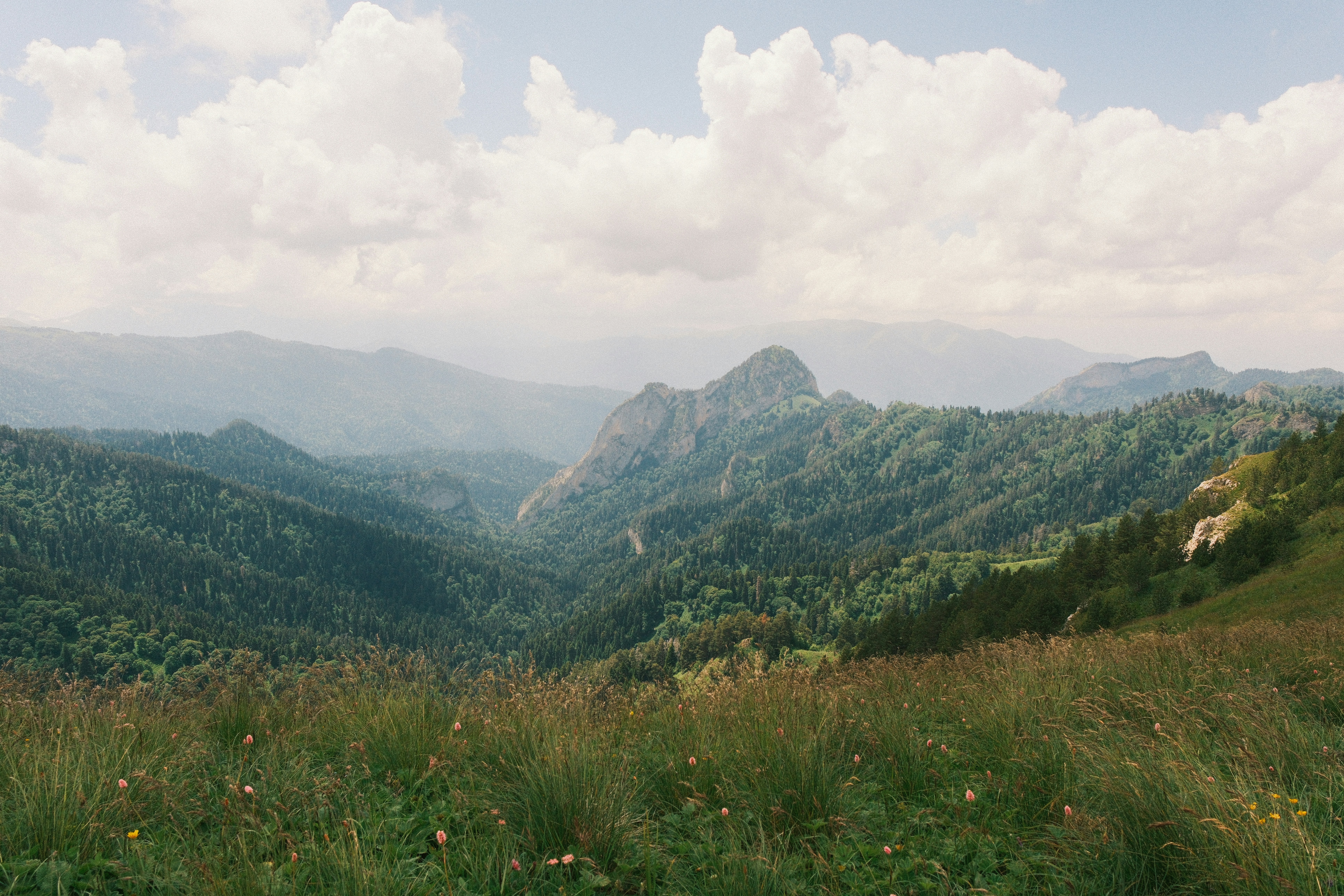 Photo by nikan_tanya