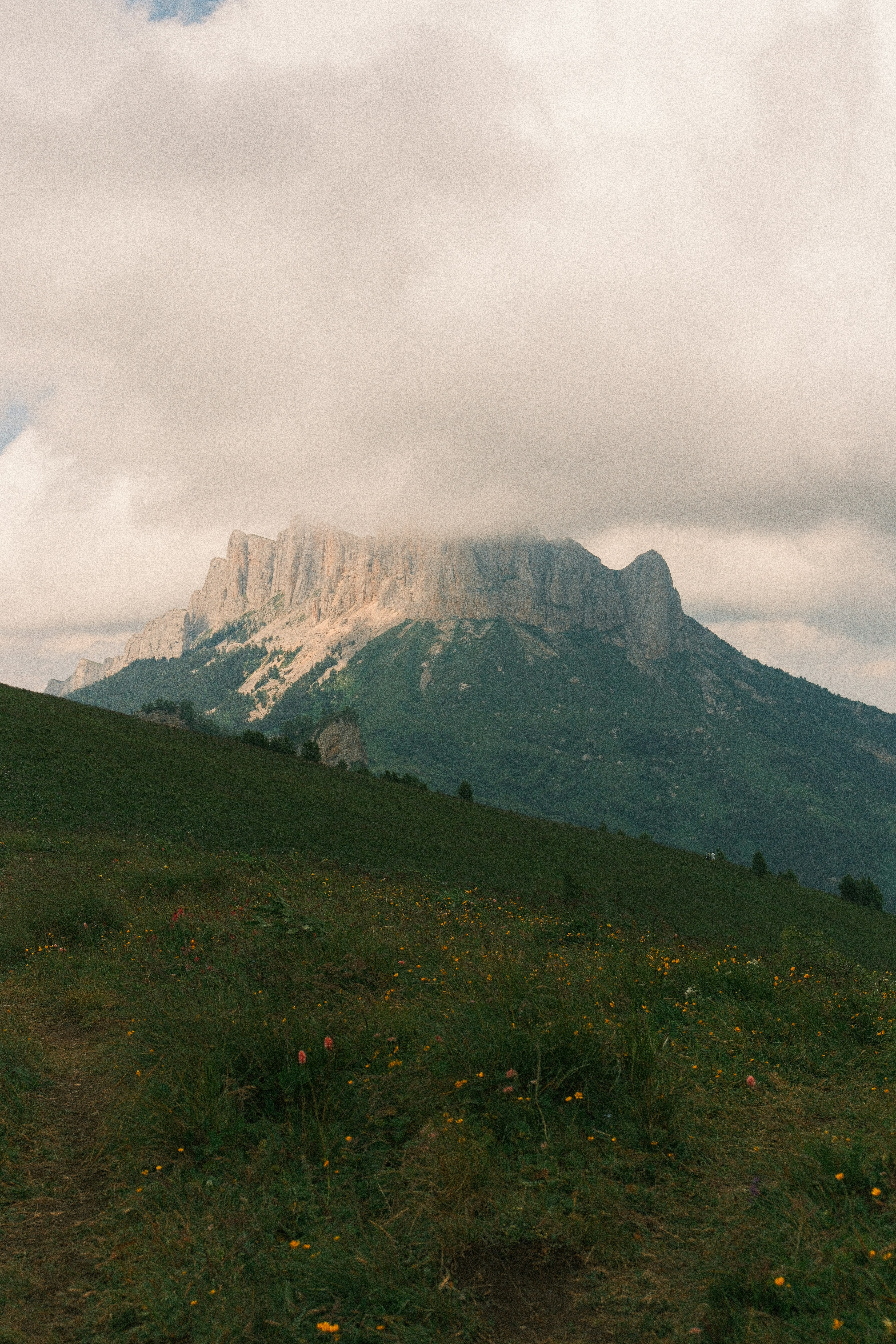 Photo by nikan_tanya