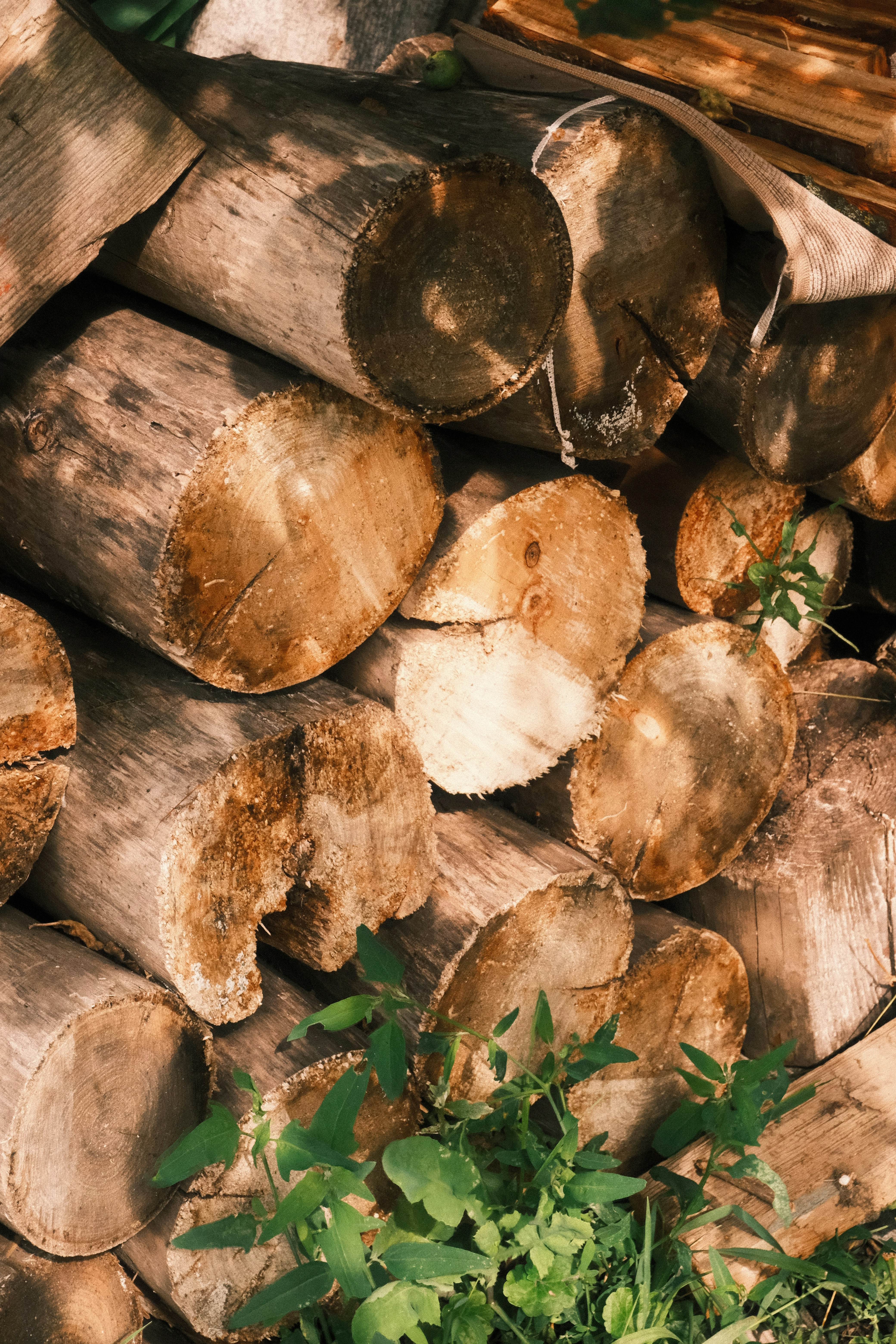 Photo by tatianarudneva