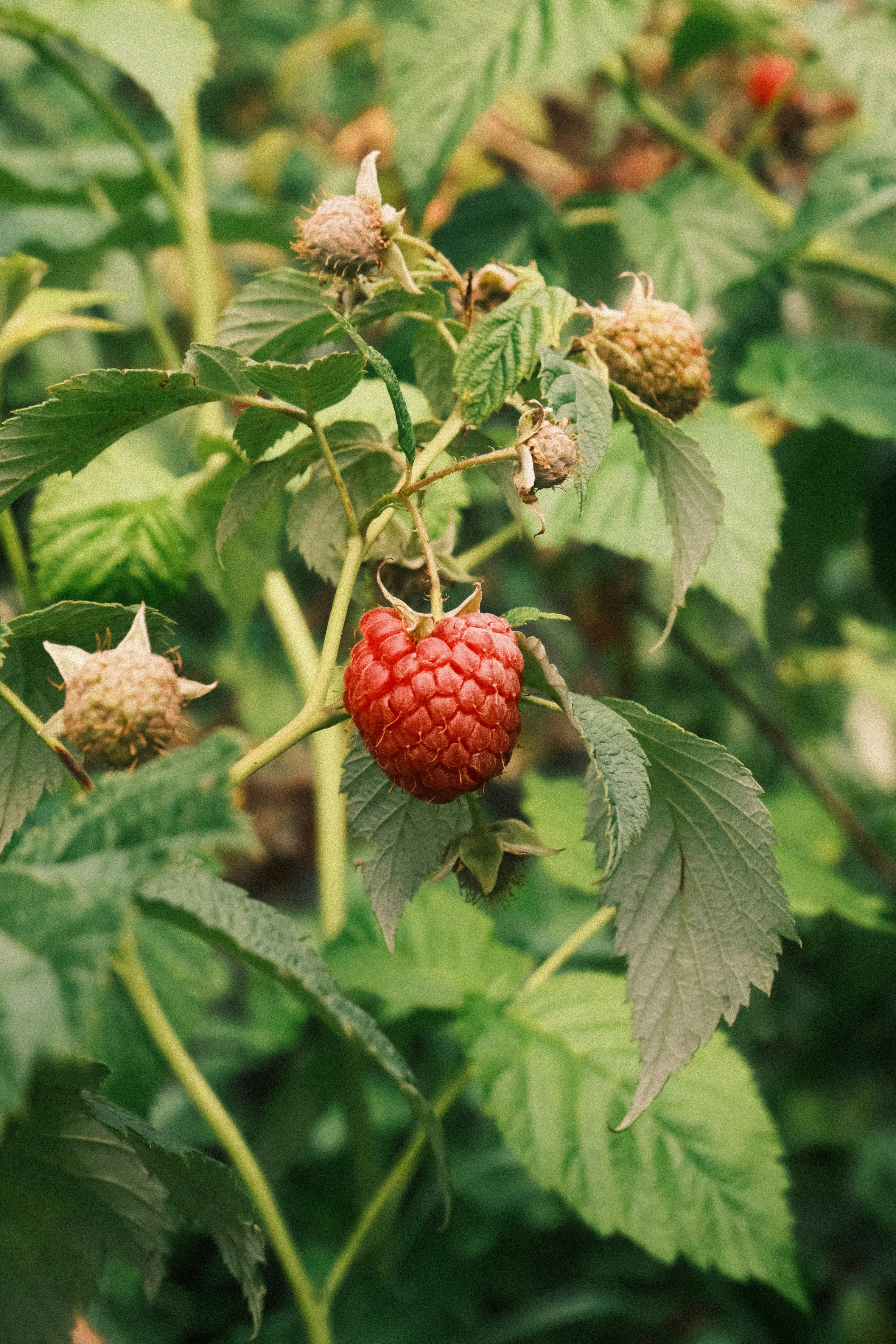 Photo by tatianarudneva