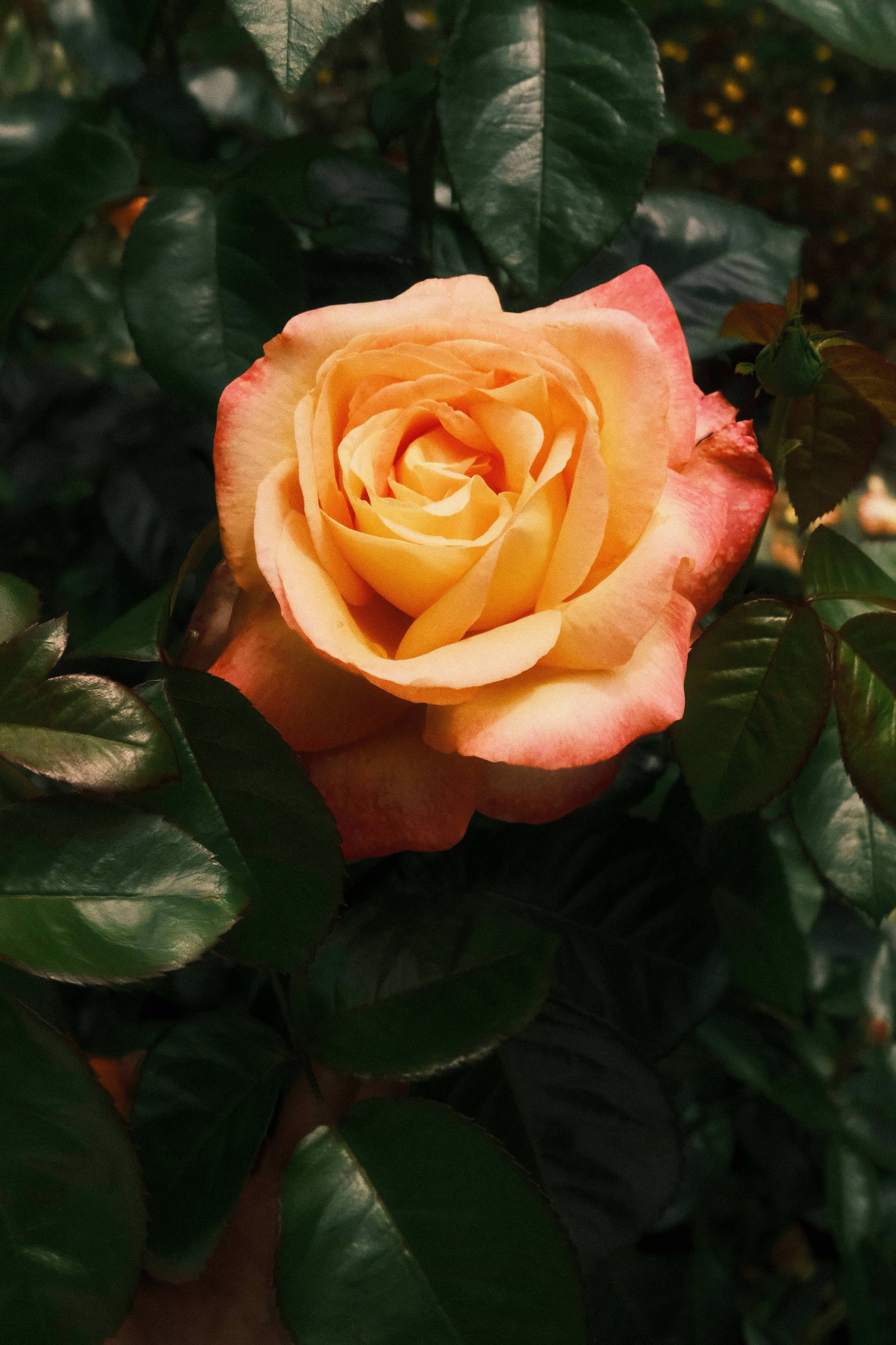 Photo by tatianarudneva