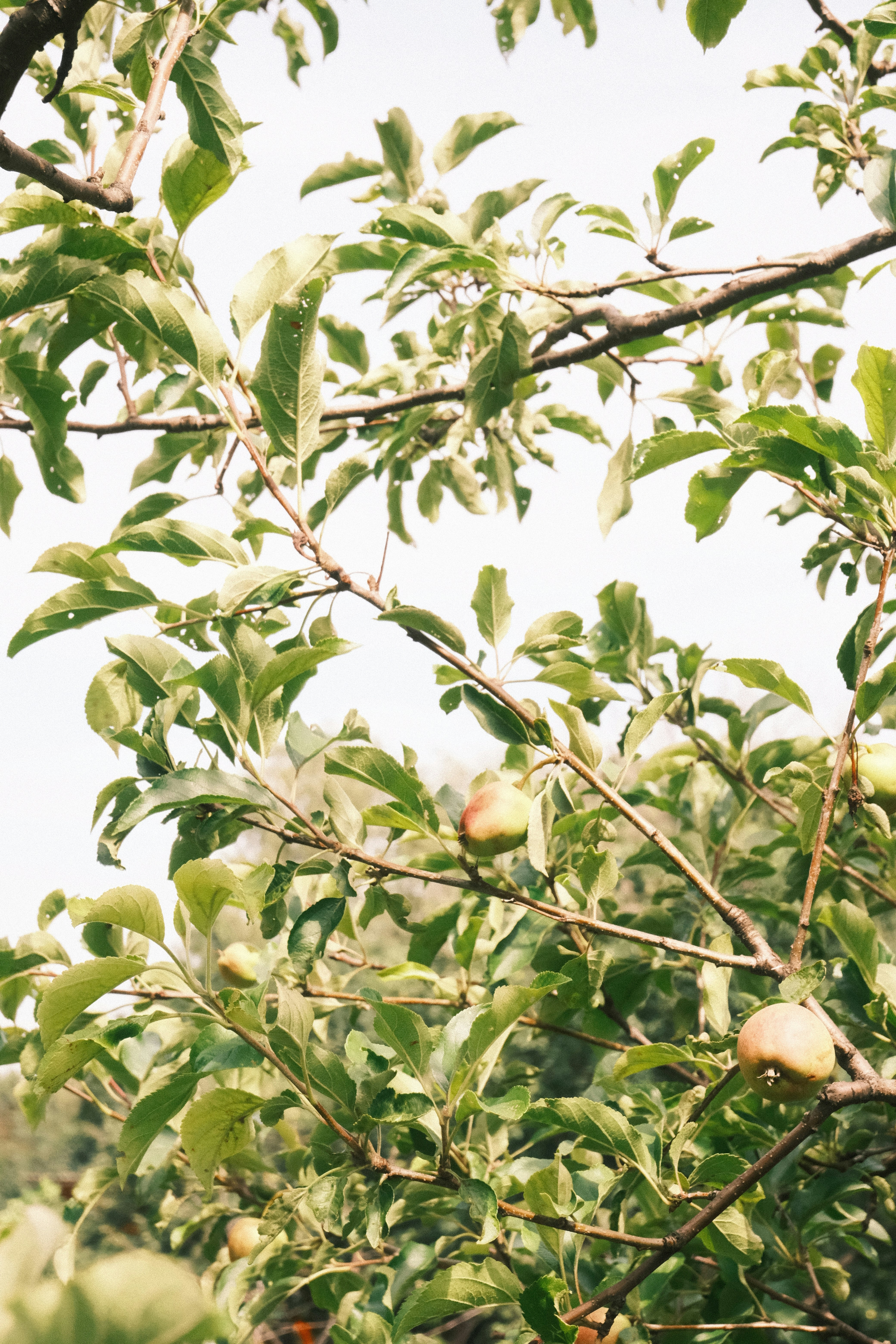 Photo by tatianarudneva