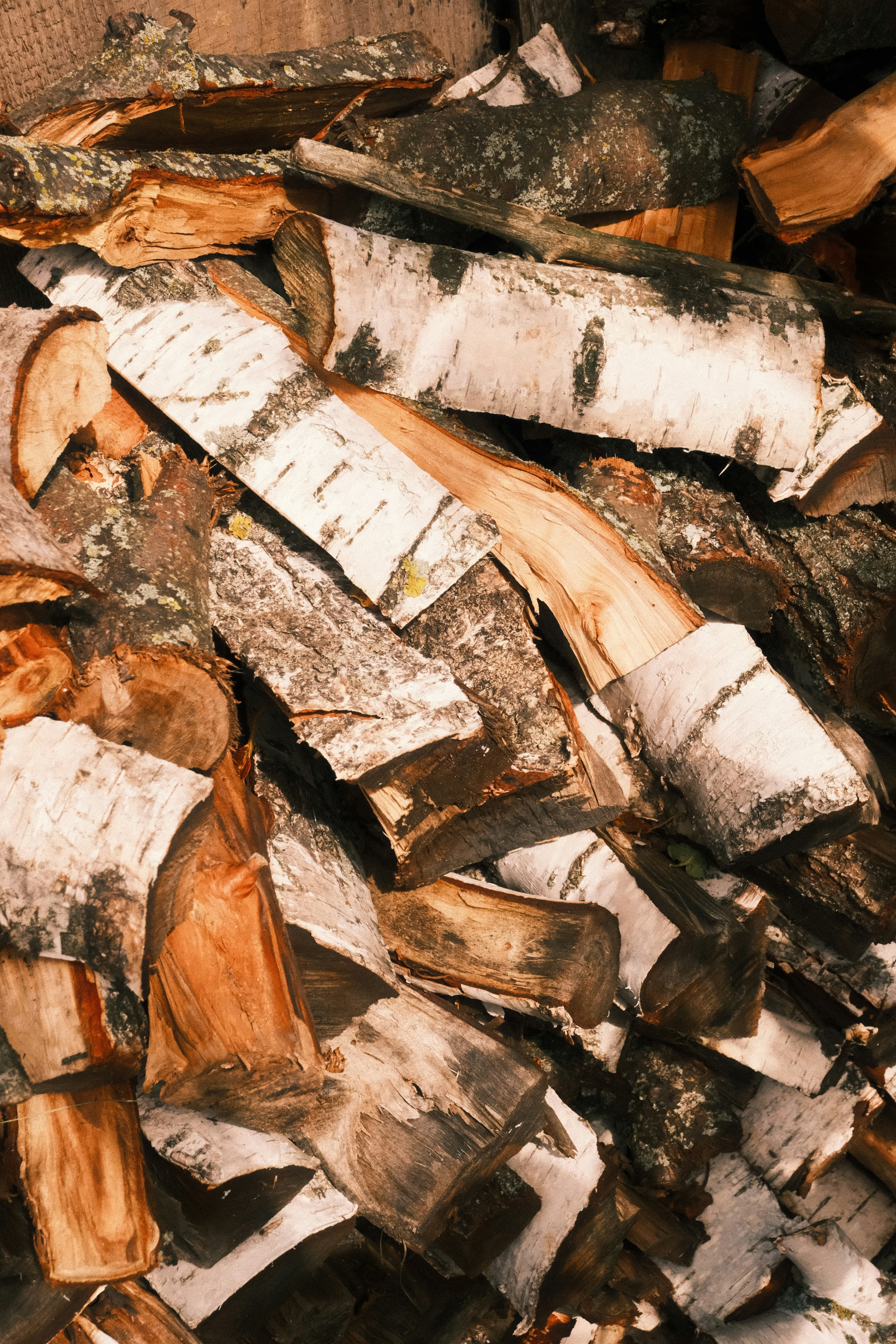 Photo by tatianarudneva