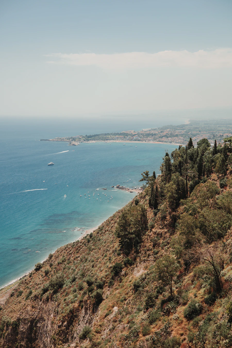 Terraced cliffs and coastline seen from above