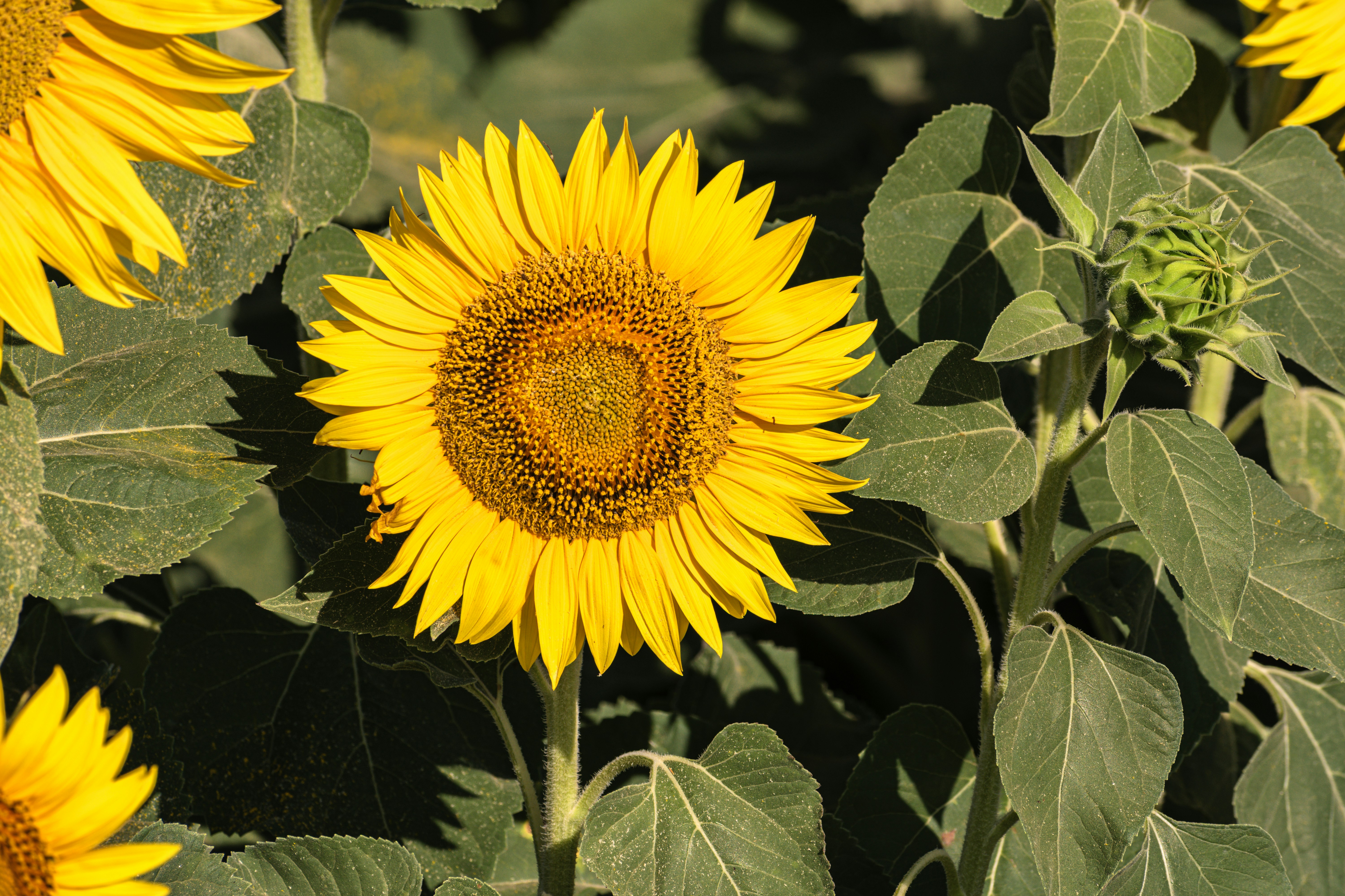 Photo by niki_emmert