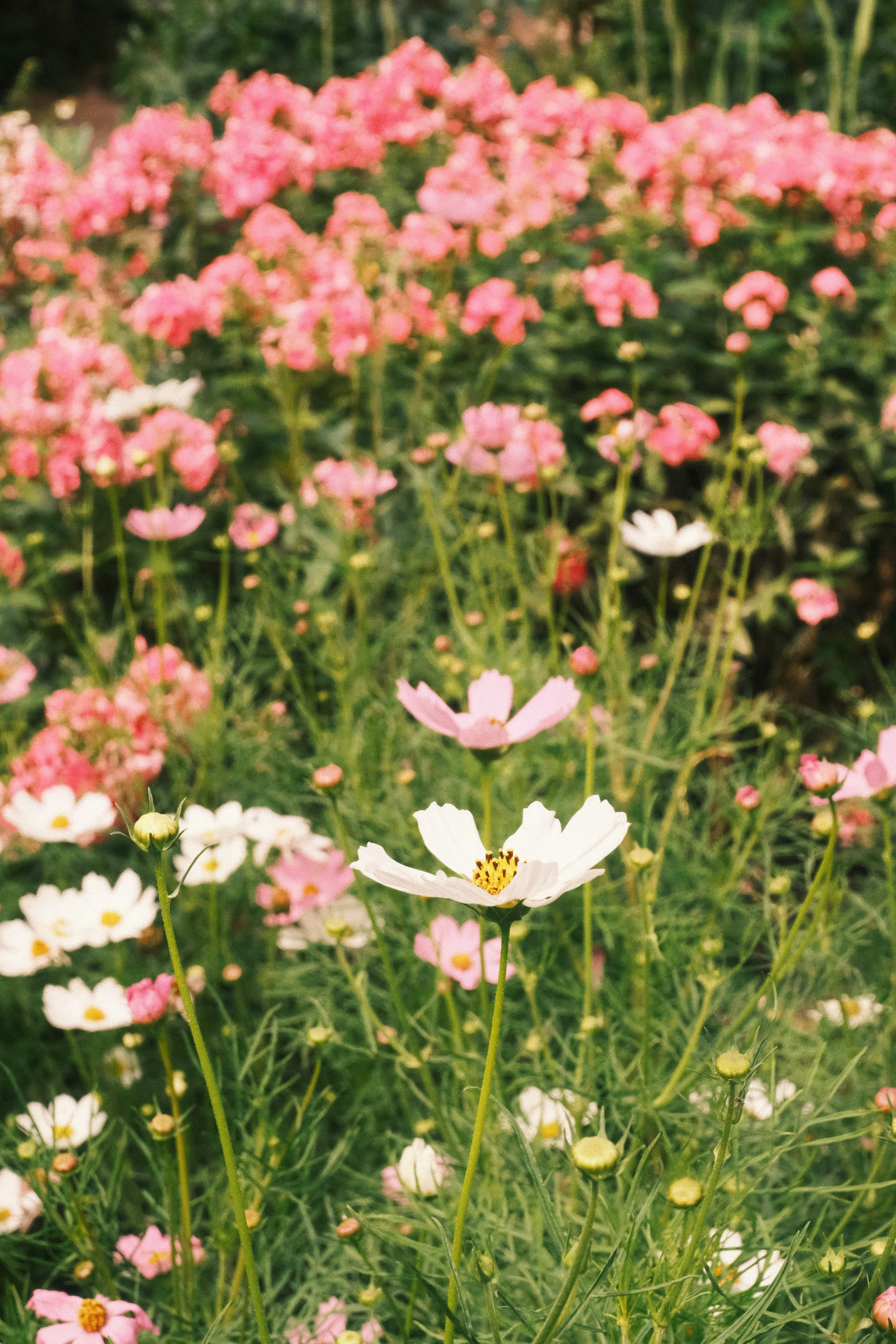 Photo by tatianarudneva