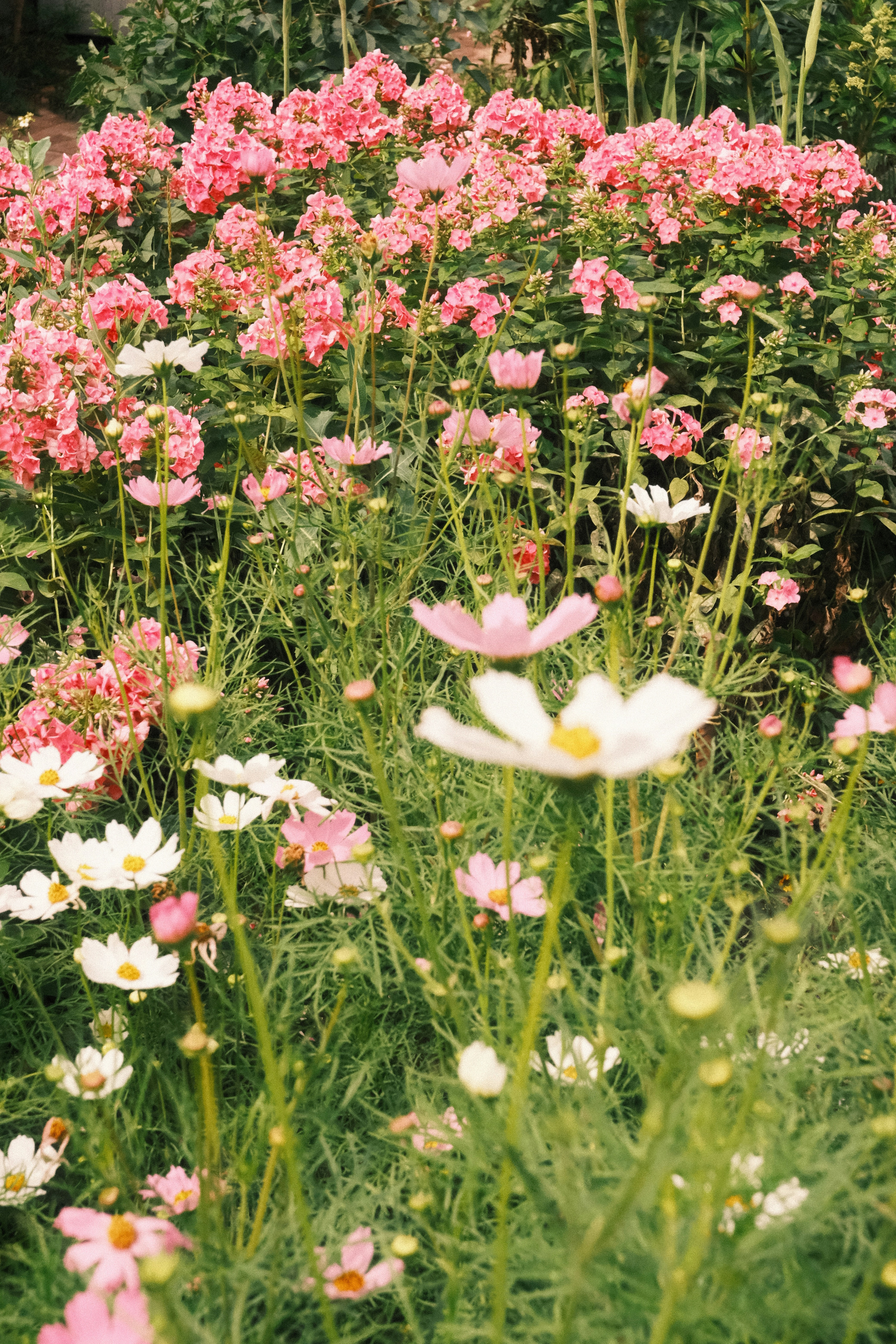 Photo by tatianarudneva