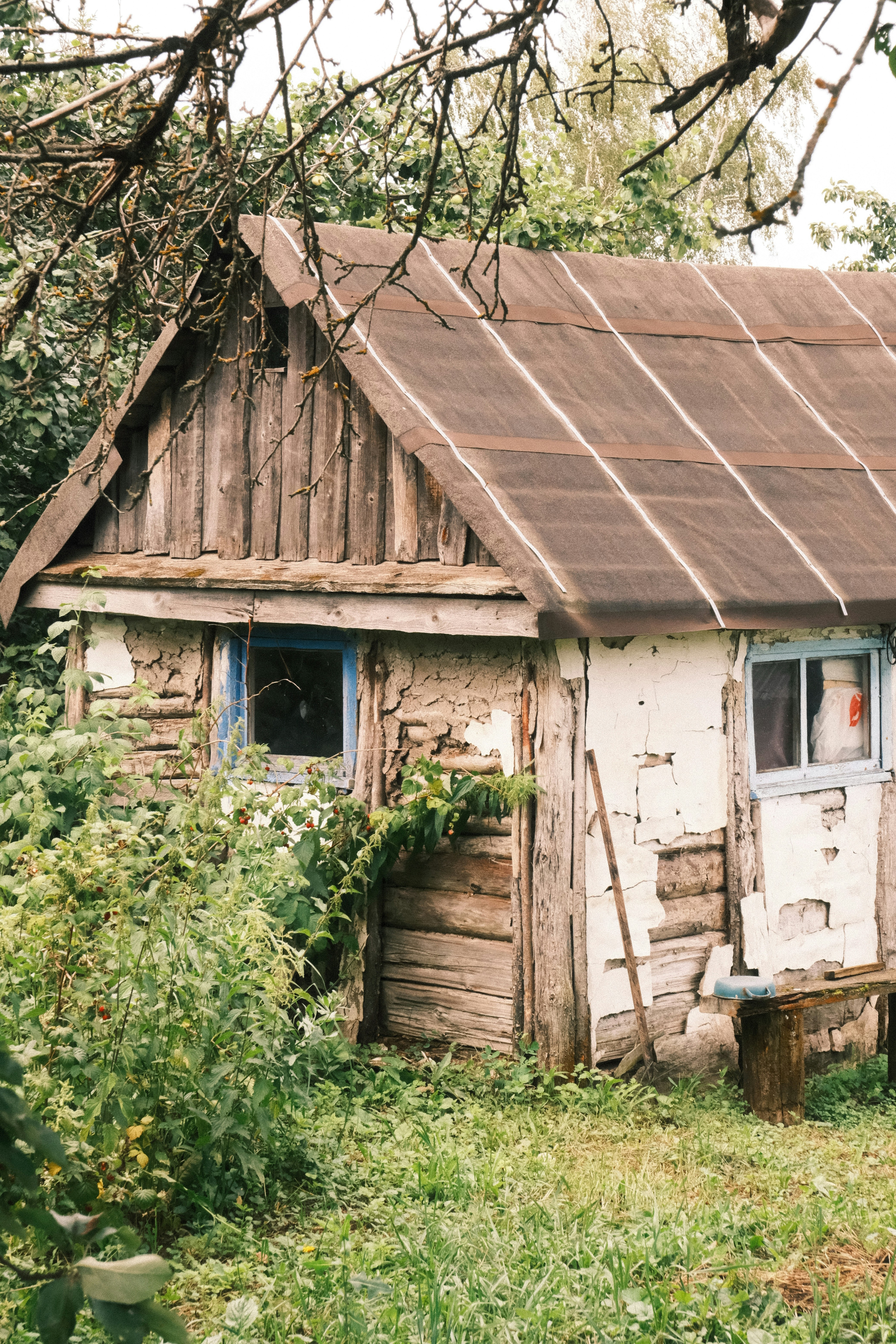 Photo by tatianarudneva