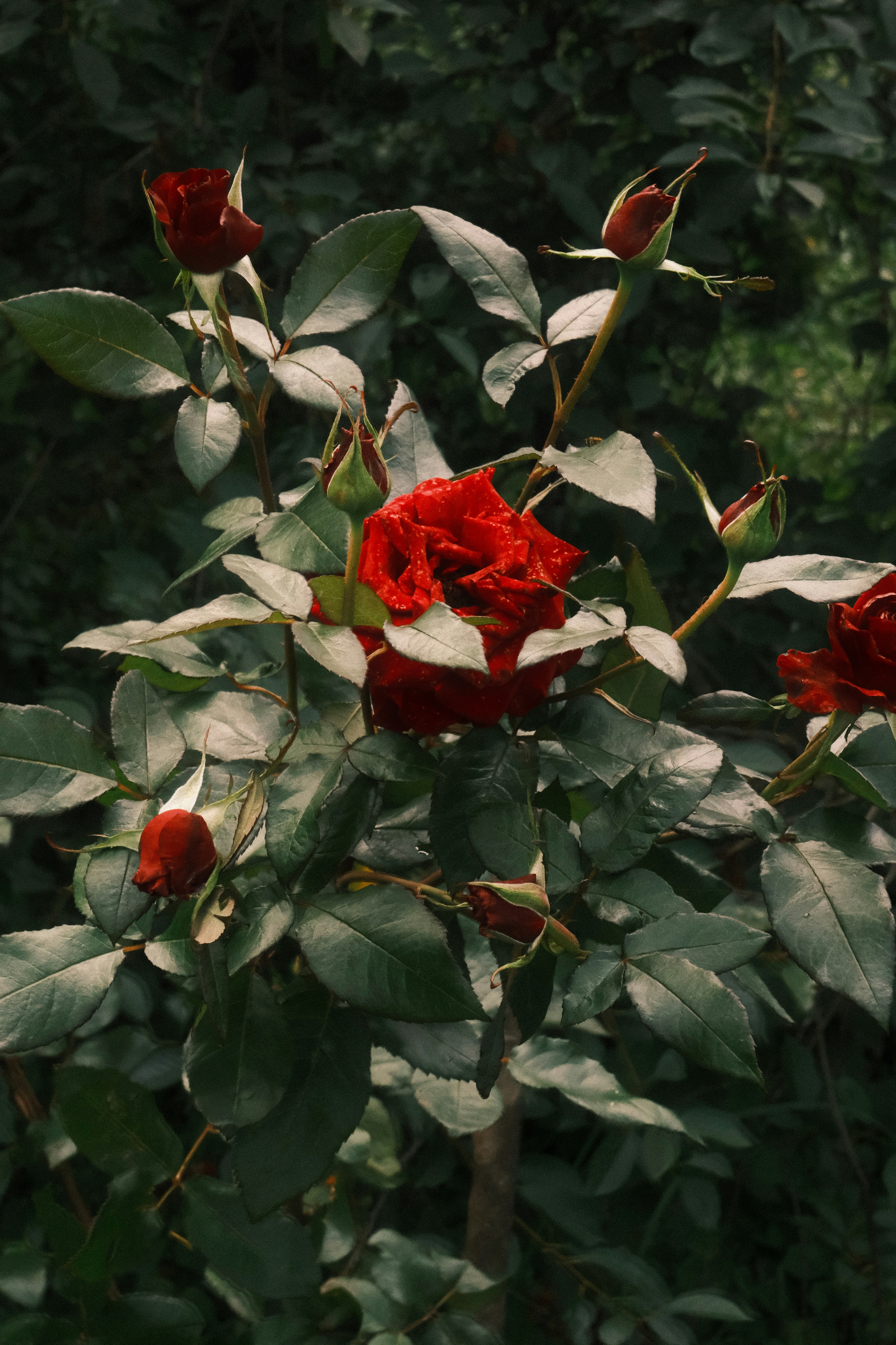 Photo by tatianarudneva