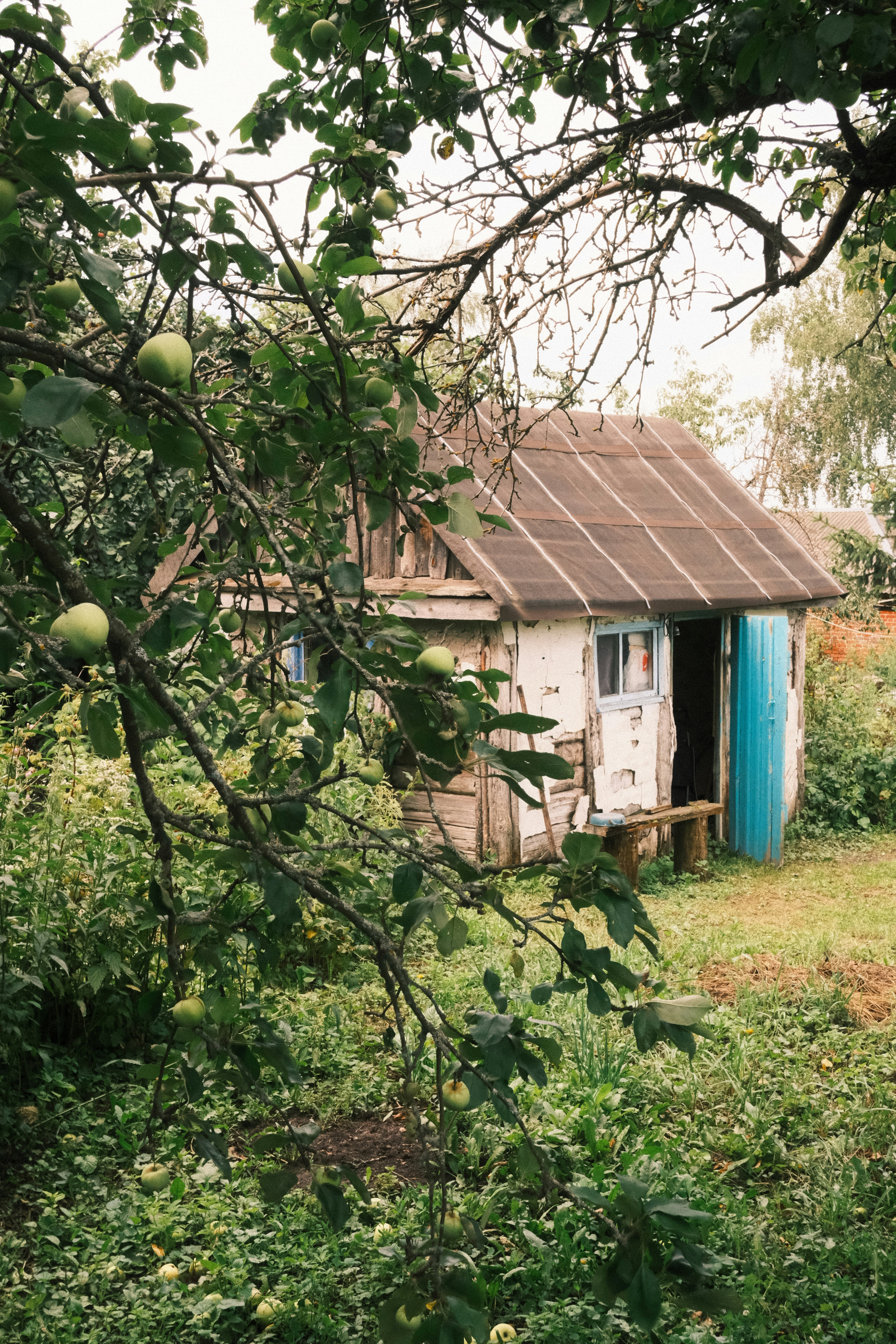 Photo by tatianarudneva