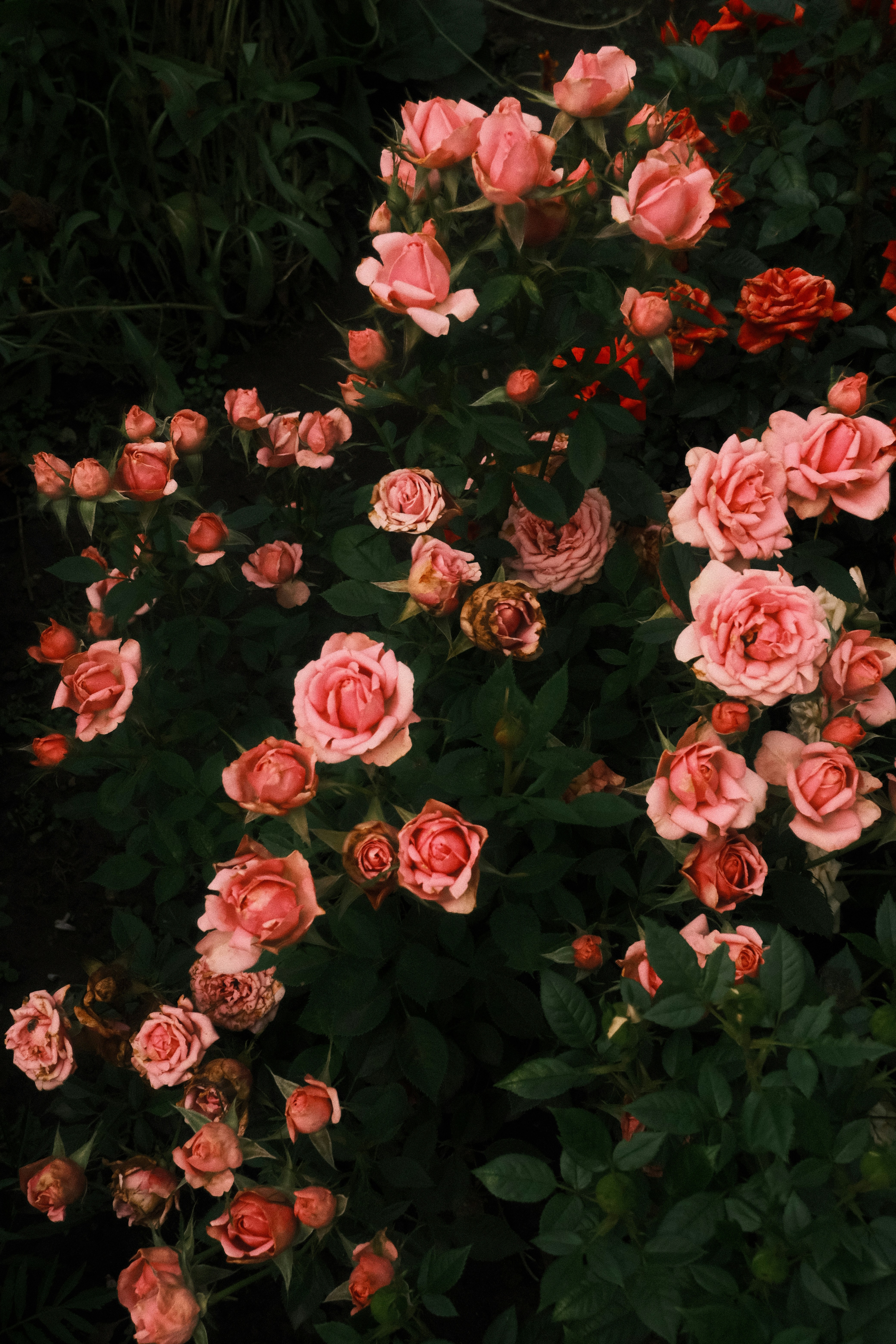 Photo by tatianarudneva