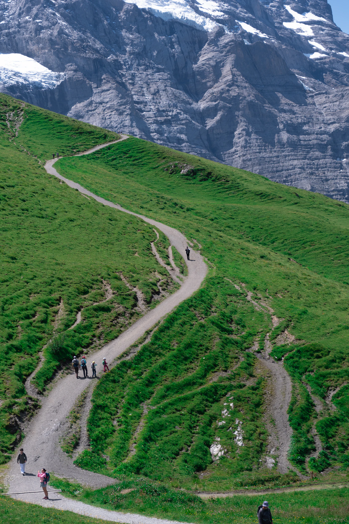 A winding trail through green alpine slopes in Lauterbrunnen, Switzerland.