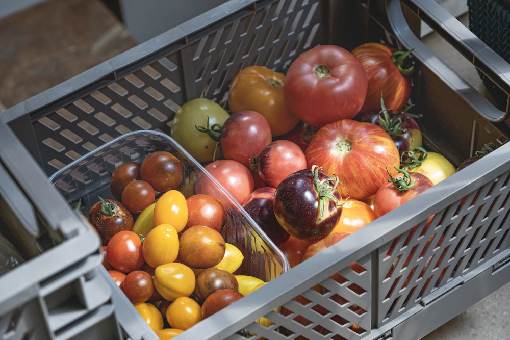 Crates of vegetables ready for wholesale market