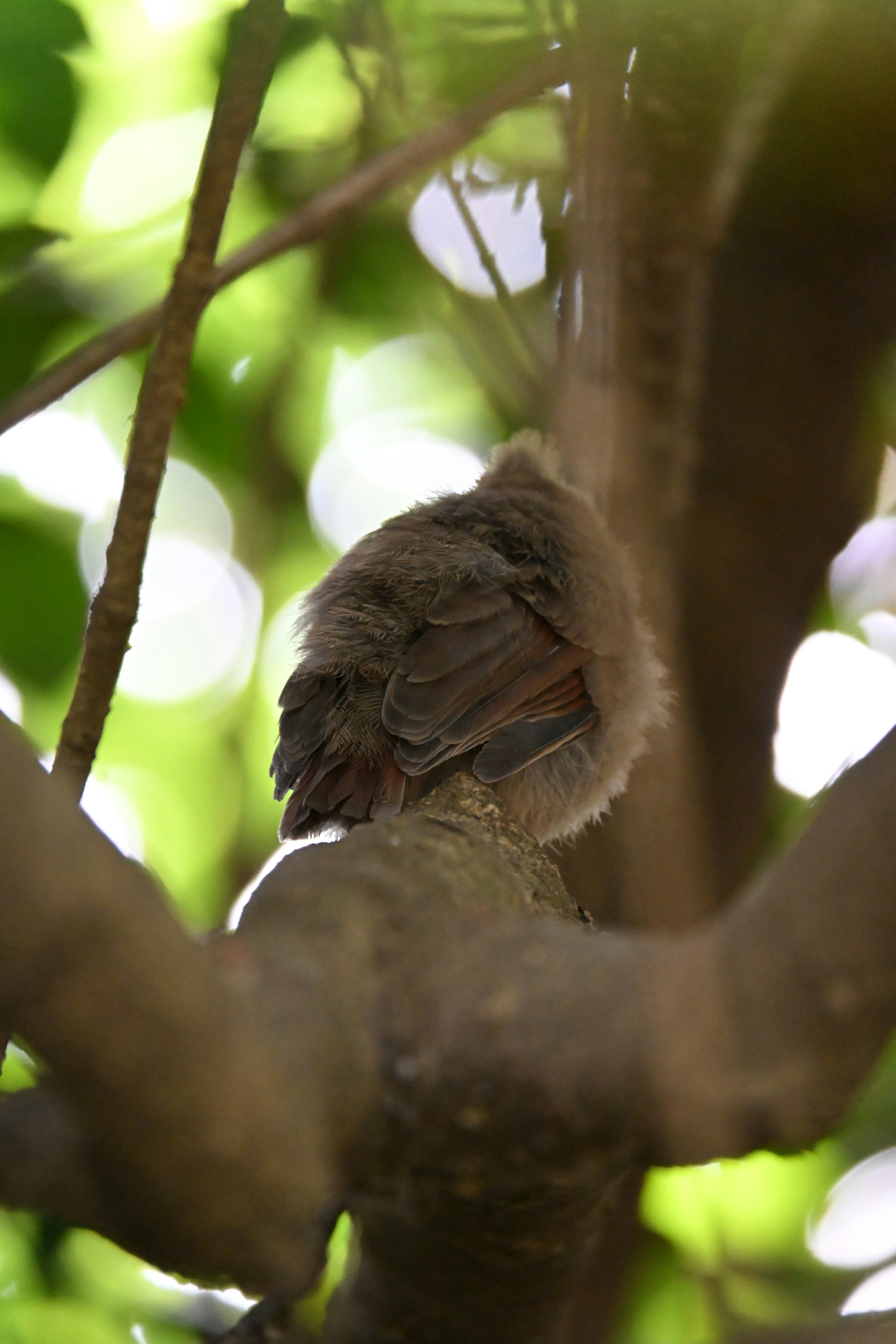 Photo by halilcelikhic