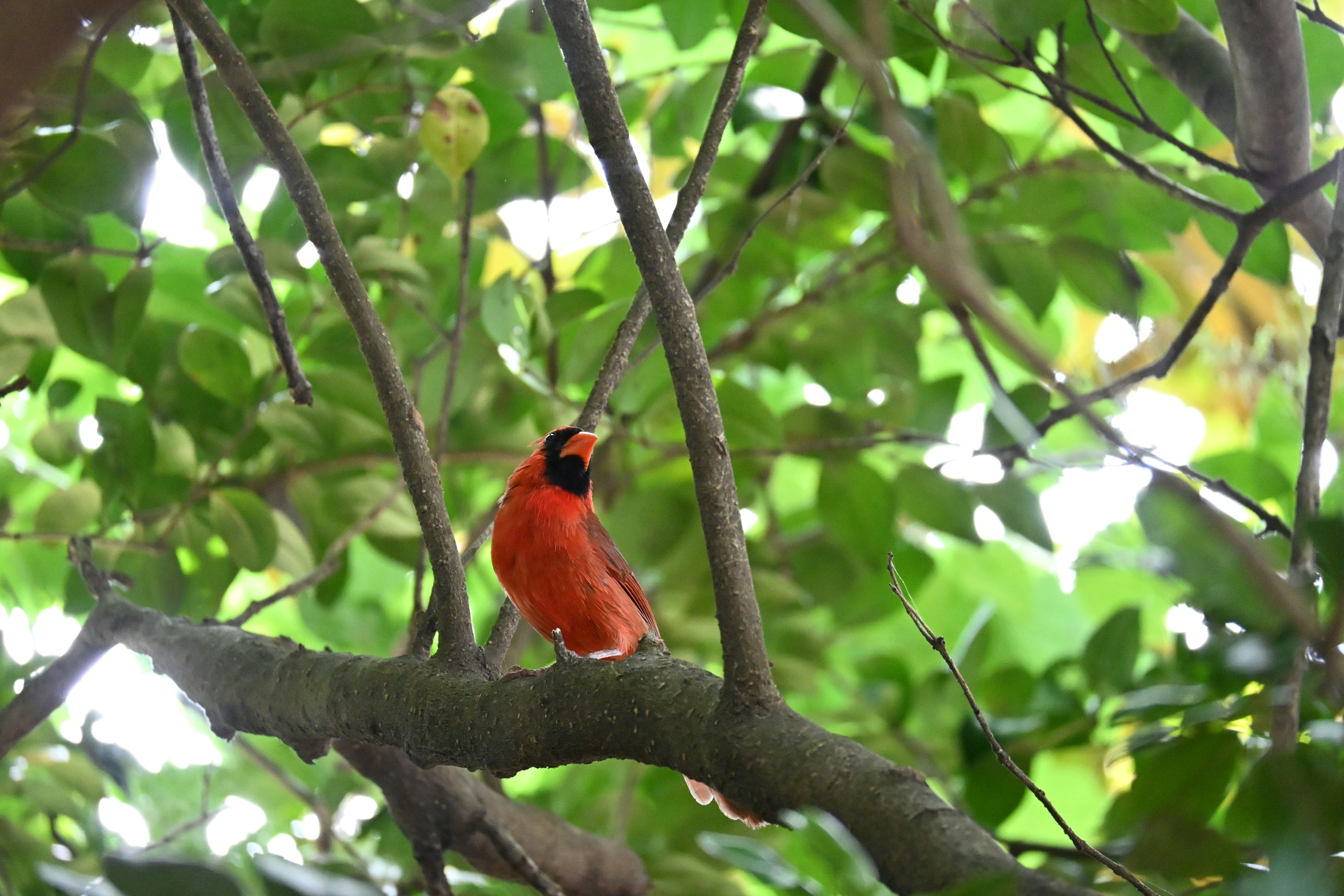 Photo by halilcelikhic