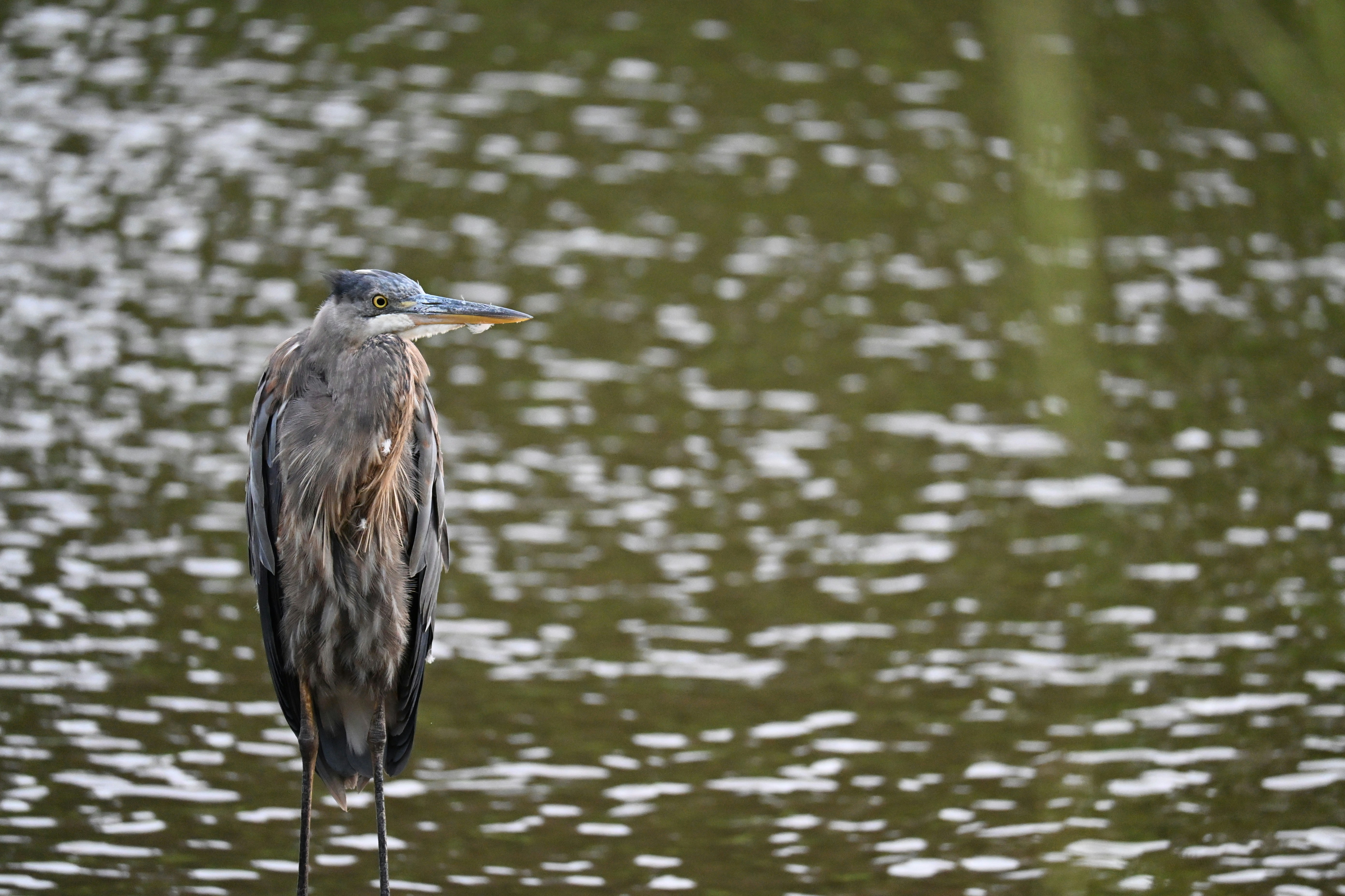 Photo by halilcelikhic