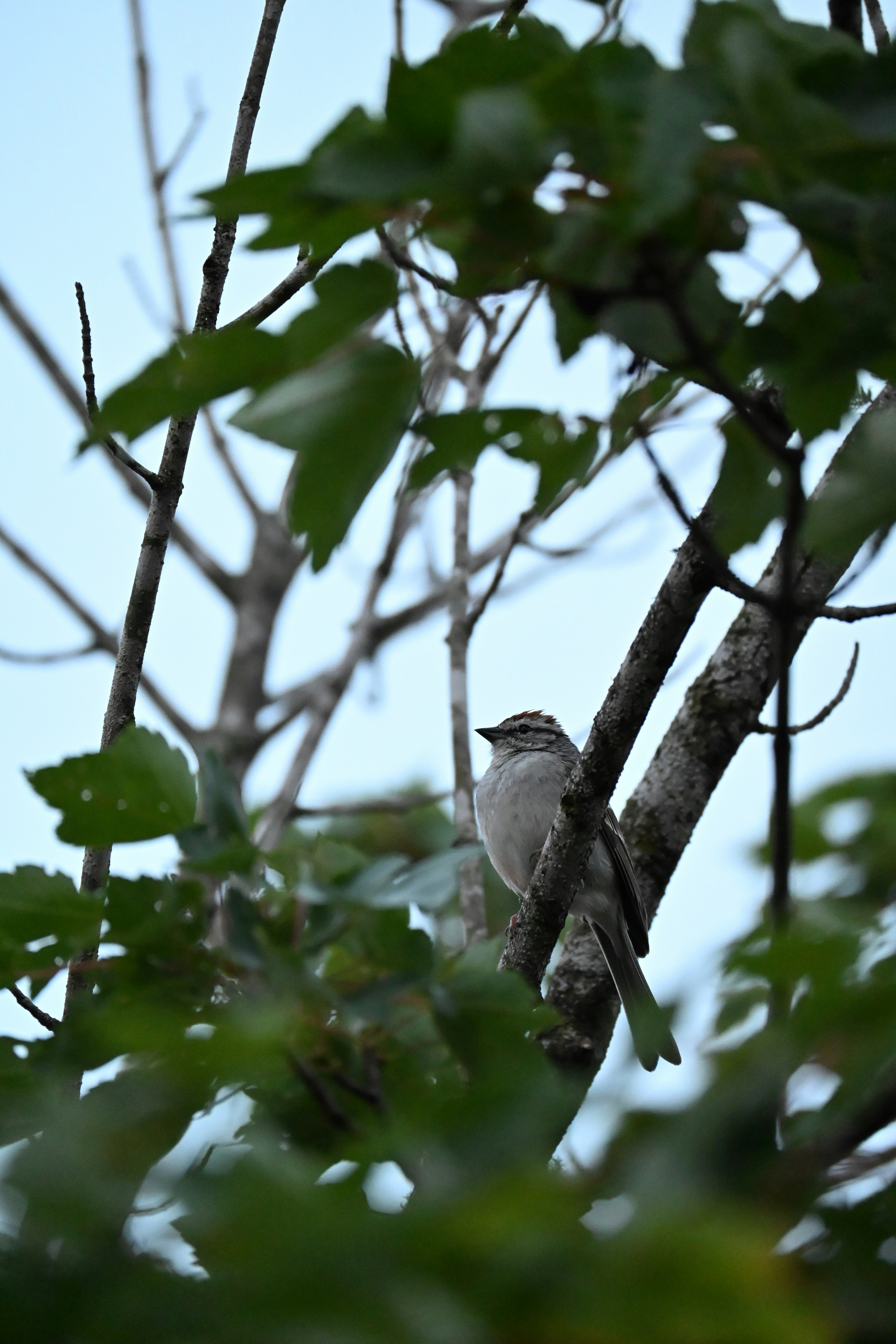 Photo by halilcelikhic