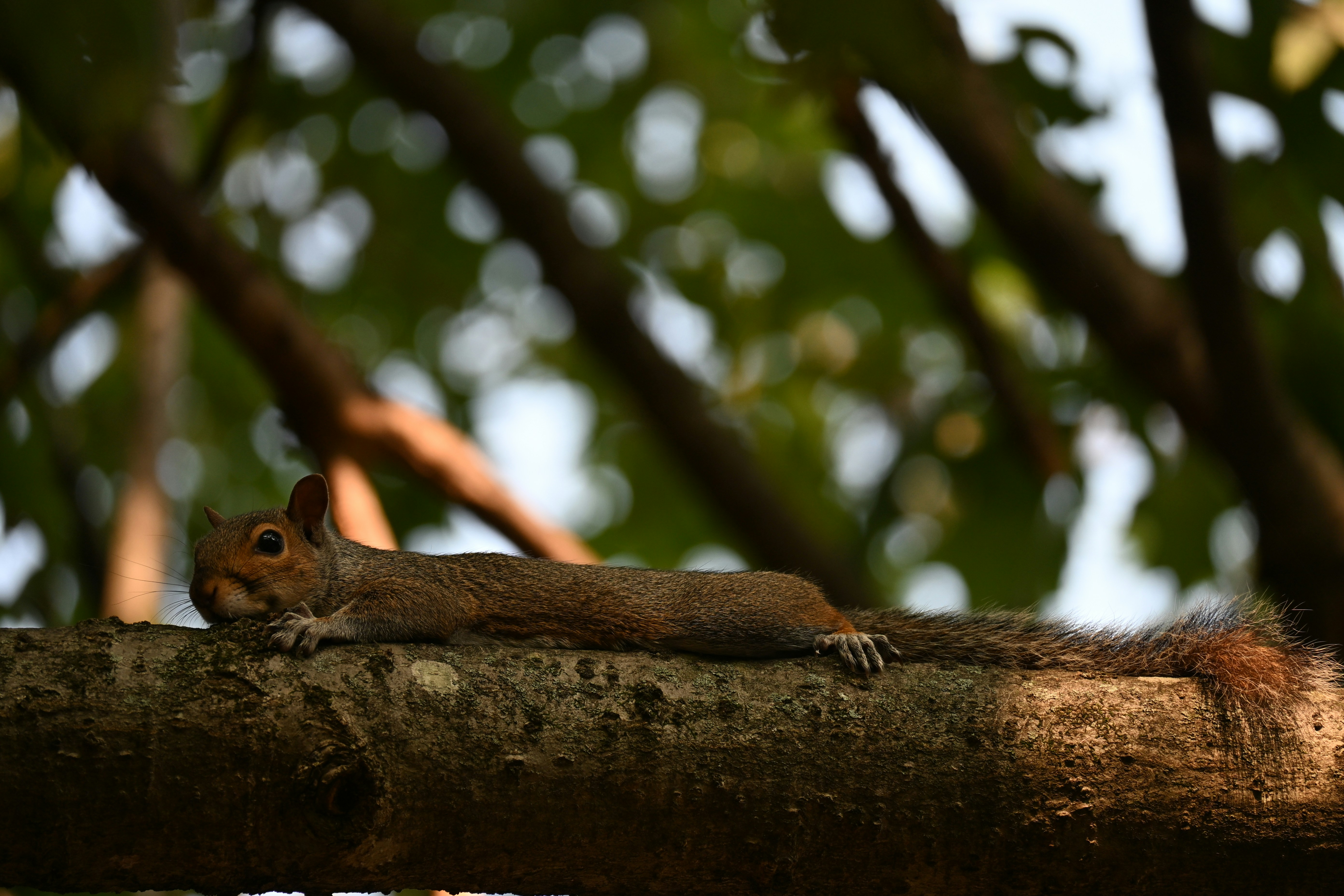 Photo by halilcelikhic