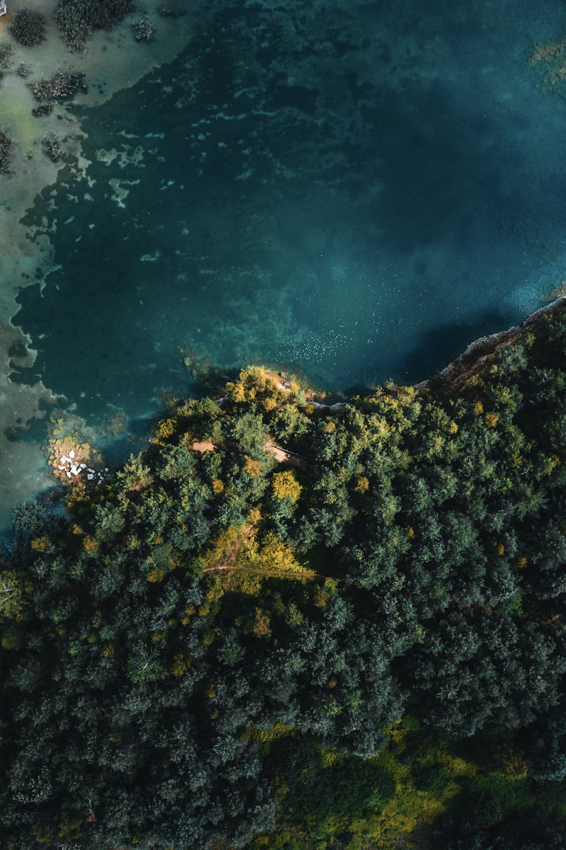 Aerial view of forest beside a lake near a monitored community