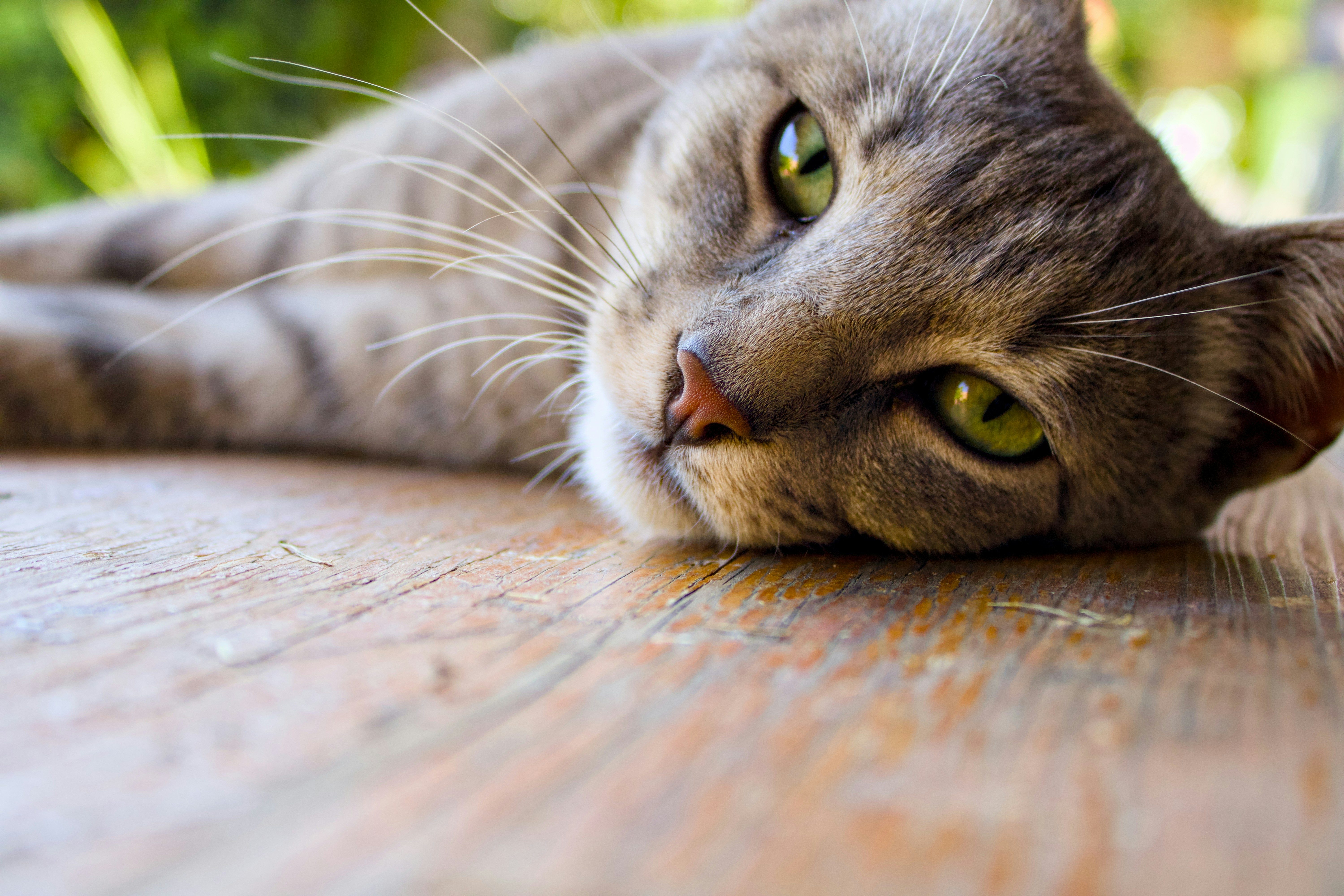 Photo by johnfdillinger